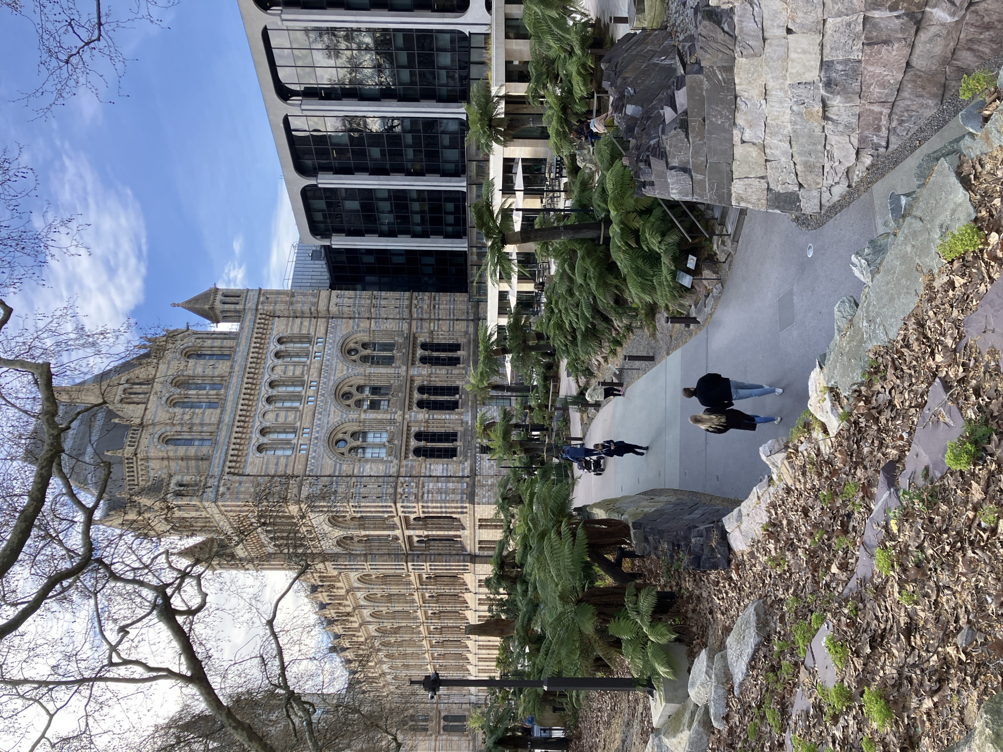 The image depicts an outdoor scene at the Natural History Museum in South Kensington, London, United Kingdom. The central background features the distinctive Romanesque Revival architecture of the museum's main building, characterized by striped stone (pale and blue-grey), numerous arched windows, turrets, and a large central domed roof. To the right of this, a modern building with dark reflective glass and light-colored vertical pillars stands adjacent.
In the foreground, a paved pathway meanders through a landscaped area. On the left, a sloped ground covered in dry brown leaves and scattered rocks features emerging small green plants. Large, bare tree branches extend into the upper left frame. Along the pathway and to its right, numerous large tree ferns with vibrant green fronds are planted within rocky garden beds, creating a prehistoric garden aesthetic. Further along the path, near the modern building, an outdoor cafe area is visible with several white sun umbrellas, tables, and chairs.
Multiple individuals are present. In the immediate foreground, a couple walks away from the viewer on the paved path; the person on the left wears a dark coat and light blue jeans, while the person on the right wears a dark jacket and light blue jeans. Further down the path, another individual pushes a dark-colored stroller away from the viewer, and another person walks ahead of them. Additional indistinct figures are visible near the outdoor cafe seating. The sky is partly cloudy with patches of blue, and the scene is illuminated by natural daylight.