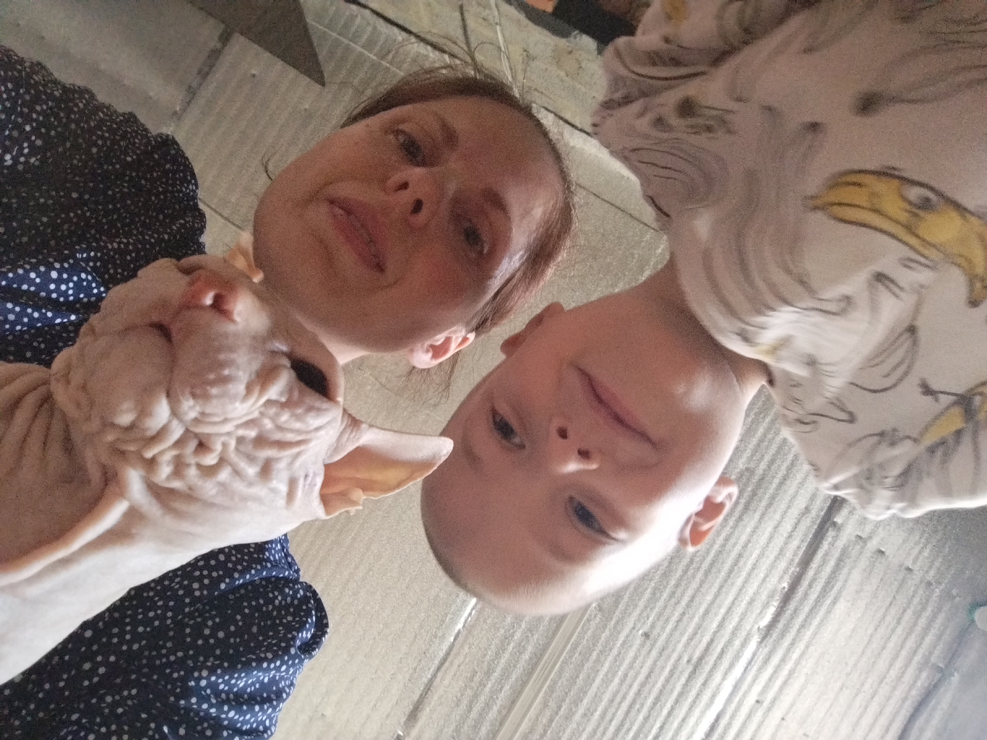 In Zavodoukovsk, Russia, a close-up, low-angle shot captures a trio of subjects: a woman, a child, and a Sphynx cat, all appearing to look directly into the camera. The woman is positioned on the left side of the frame, her face partially obscured by her hair. She is wearing a dark blue dress with white polka dots. To her right, a young child's face fills the center and right of the frame. The child is wearing a light-colored shirt with a pattern featuring an eagle's head. The Sphynx cat is positioned in the foreground, between the woman and the child, with its head and upper body visible. Its skin appears wrinkled, and its ears are large. The background consists of a textured surface, possibly a wall or floor, with horizontal lines and a muted color palette. The lighting is somewhat dim, and the image quality is slightly blurred, suggesting it may have been taken with a mobile device or in low light conditions.