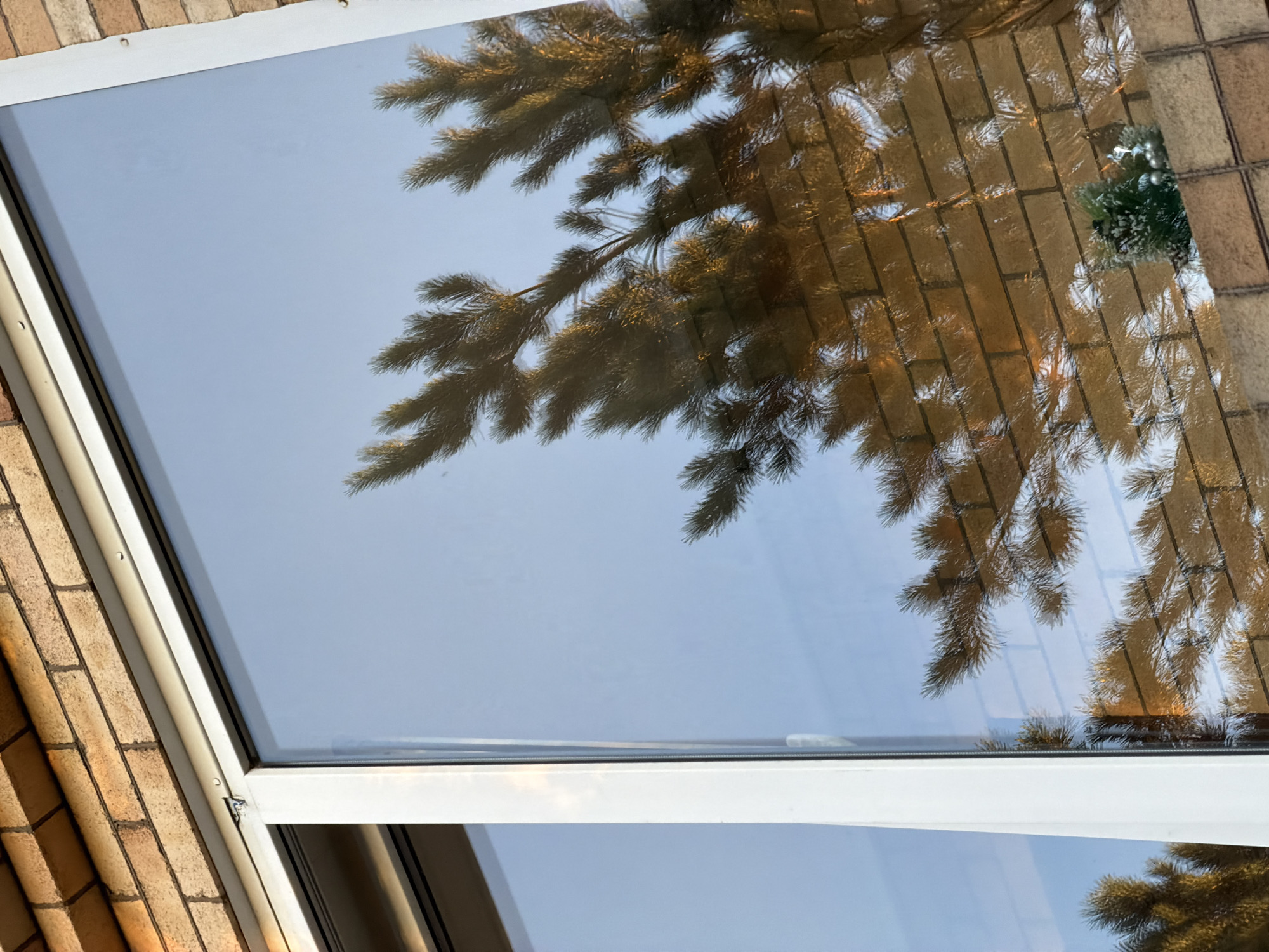 The image shows a reflection of a Christmas tree and a brick wall in a window. The Christmas tree is decorated with white ornaments and appears to be outside. The brick wall is made of light brown bricks and is also visible in the reflection. The sky is a clear blue, suggesting it is daytime. The scene is likely set in an urban or suburban environment. There is no text visible in the image. The reflection is distorted by the window, creating a slightly abstract effect. The overall mood of the image is festive and cheerful, due to the presence of the Christmas tree. It is difficult to determine the exact time of day or weather conditions beyond the clear sky. The location cues are limited to the brick wall and the window frame, which do not provide specific information about the exact location.