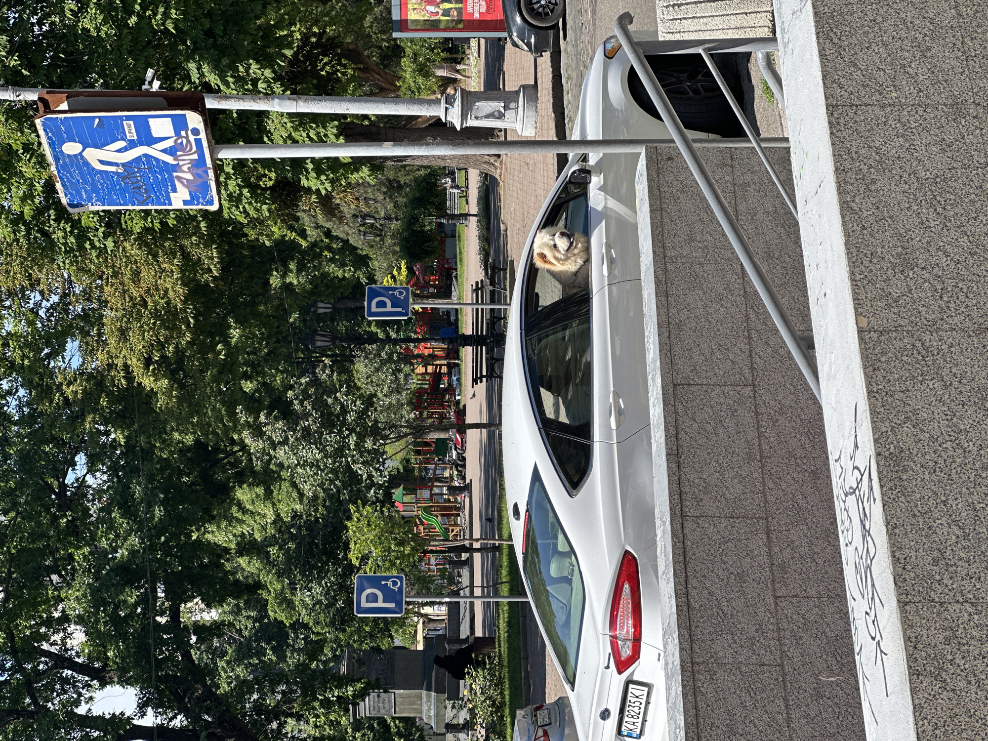 The scene depicts a white car parked alongside a sidewalk in an urban environment of Unknown, Unknown. A dog is visible inside the car, partially sticking its head out the window. Near the car, there are parking signs with a wheelchair symbol, indicating reserved parking for individuals with disabilities. Trees and some playground equipment are visible in the background, suggesting a park or recreational area in the vicinity. Another car is parked ahead of the white car. The image is slightly rotated, but the essential details are discernible.