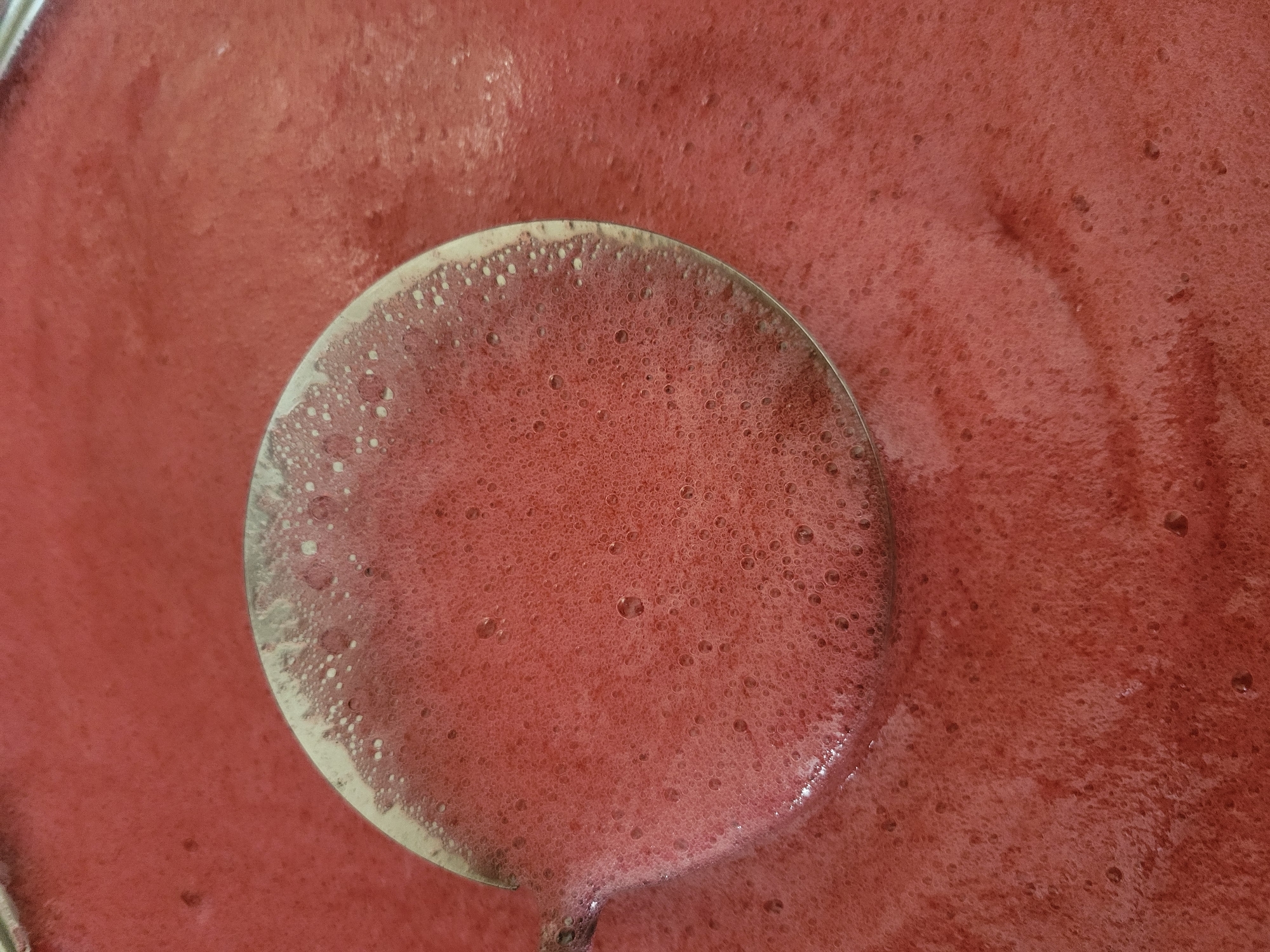 A close-up, overhead shot captures a metal ladle filled with a vibrant pink, frothy liquid, likely a smoothie or a blended fruit mixture. The ladle is partially submerged in a larger container of the same pink liquid, which exhibits a slightly uneven surface with numerous small bubbles. The background consists of the pink liquid filling the container, with subtle variations in texture and color, suggesting movement or the presence of air pockets. The lighting is even, highlighting the texture and color of the liquid and the metallic sheen of the ladle. The image provides no contextual information about its location in Хажоўскі сельскі Савет, Belarus.