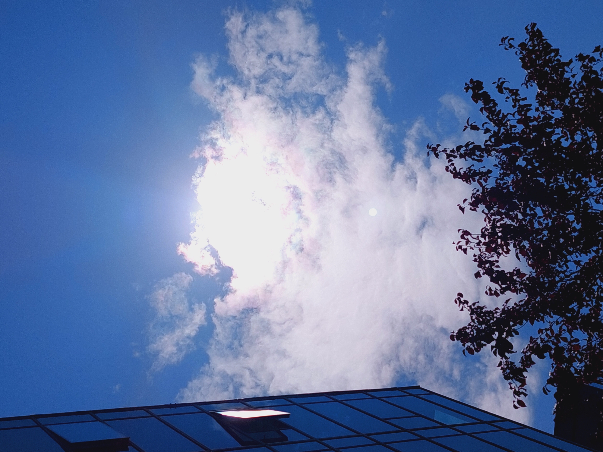 This is a low-angle, outdoor, daytime photograph of a modern glass-clad building and a tree against a bright blue sky with scattered white clouds. The sun is visible and shining brightly, partially obscured by a large cloud formation. A small portion of the tree's dark foliage is in the foreground, silhouetted against the sky. The building, on the left side of the frame, has a reflective glass facade with visible grid lines. One open window is visible on the building. The scene is consistent with an urban environment. The image was captured in Sofia, Bulgaria.