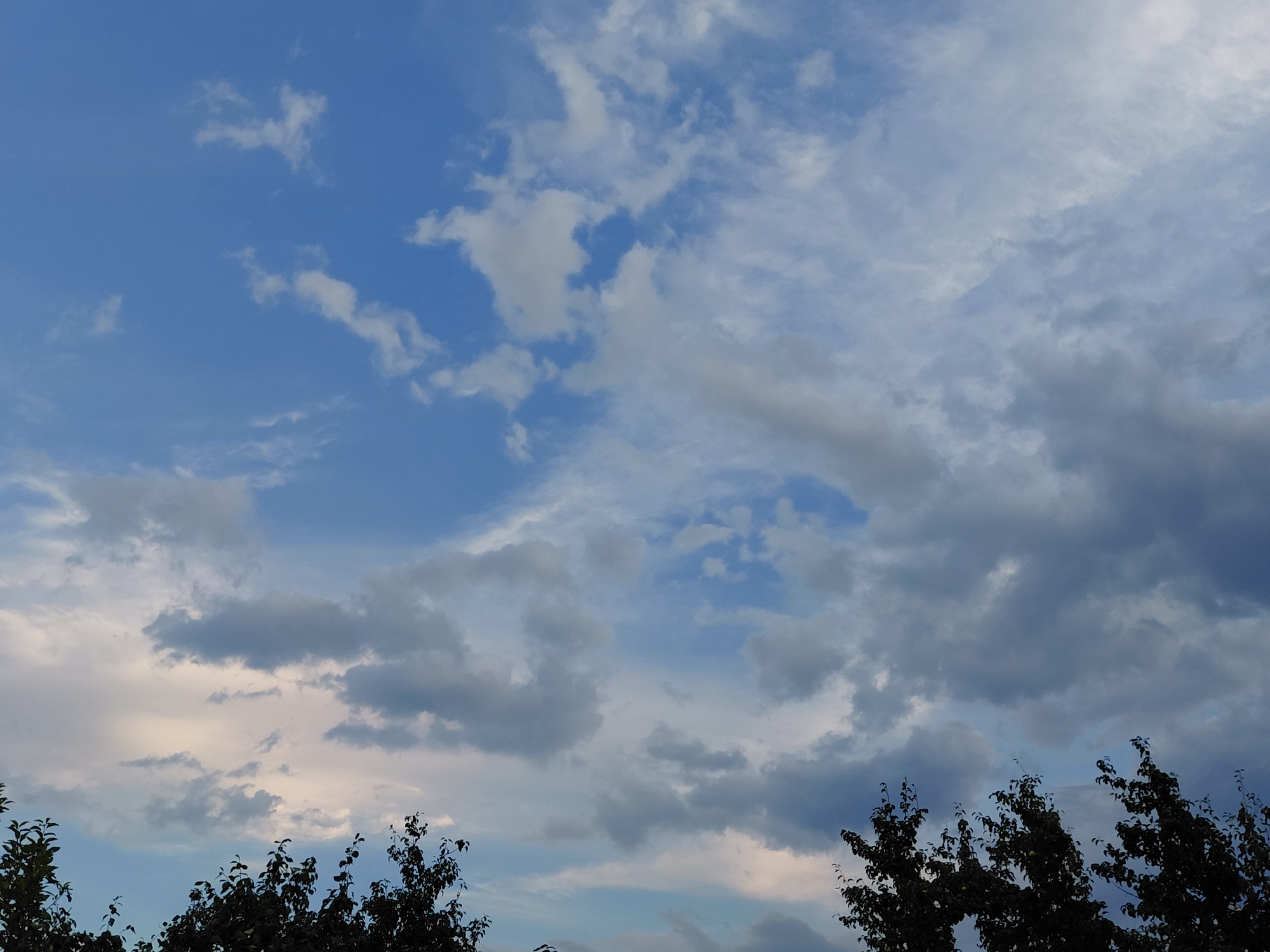 The image captures a daytime sky with scattered clouds above a silhouetted line of trees. The sky is a vibrant blue in some areas, transitioning to lighter, overcast tones in others, with patches of white and gray clouds. The trees at the bottom of the frame are dark and leafy, suggesting foliage. The scene is a natural outdoor environment, likely in Stromilovo, Russia, without any visible human presence or specific structures.