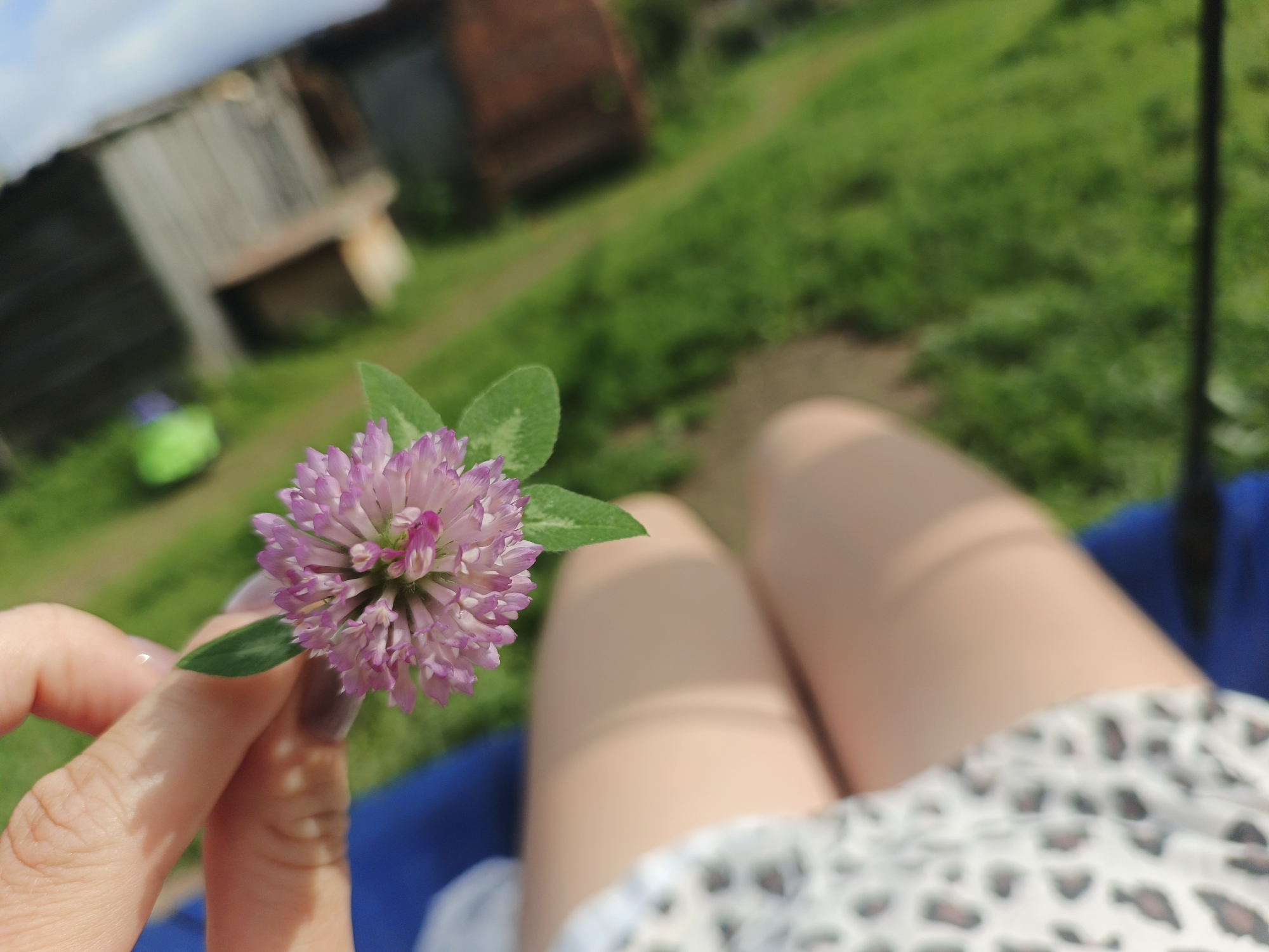 In Medvedyovka, Russia, on a sunny day, a close-up shot captures a person's hand holding a pink clover flower. The flower, with its numerous small petals, is the focal point, positioned slightly off-center to the left. A single green leaf is attached to the stem. The background is blurred but suggests an outdoor setting with a grassy field and what appears to be a wooden structure. The person's legs, clad in a white and black patterned skirt, are visible in the lower right quadrant, indicating they are likely sitting. The overall impression is one of relaxed enjoyment of nature.