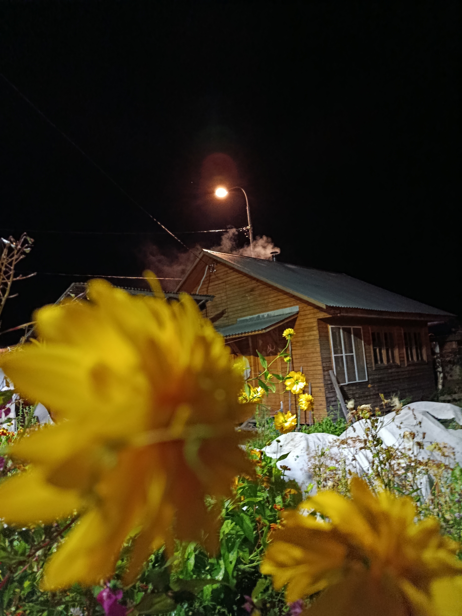 The image depicts a nighttime scene in Veresya, Russia, with a wooden house as the primary subject. The house appears to be two stories, with a dark, corrugated metal roof. Smoke is seen coming from a chimney on the roof, suggesting a fire within. A street lamp illuminates the area, casting a warm glow on the house and surrounding vegetation. In the foreground, out-of-focus yellow flowers add a touch of color to the dark scene. Several white tarp-covered objects are visible in the yard, possibly protecting garden plants or equipment. The overall atmosphere is quiet and serene.