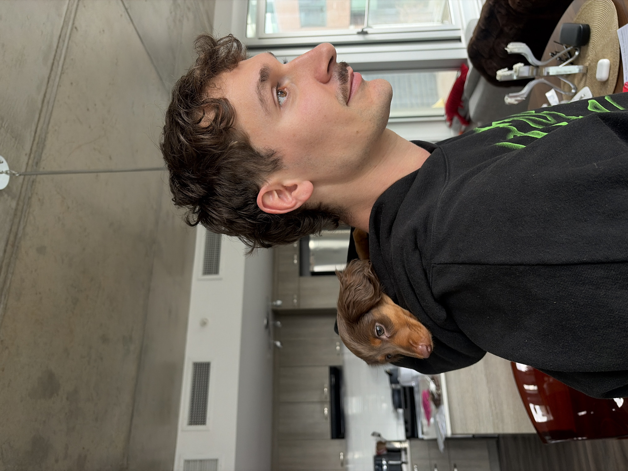 A person with brown curly hair, fair skin, and a mustache is looking upwards. They are wearing a black hoodie with green designs. A dachshund puppy with brown fur is nestled inside the hood of the hoodie, with its head and front paws visible. The background appears to be a modern apartment with light-colored walls and cabinetry. The location is presumed to be Montreal, Canada.
