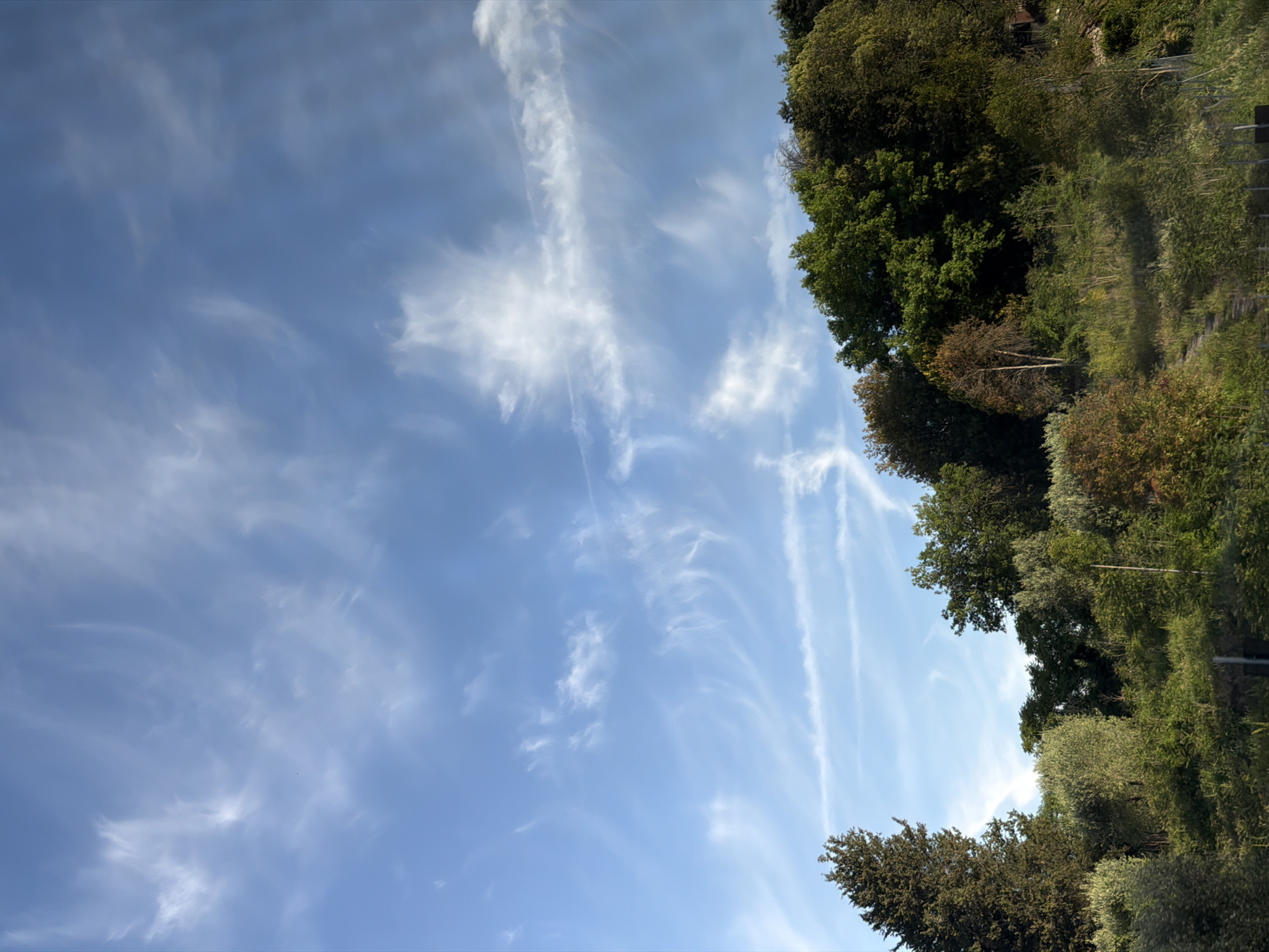 The image shows a sky with light, wispy clouds and trees on the right side. The location is Serravalle Pistoiese, Italy.