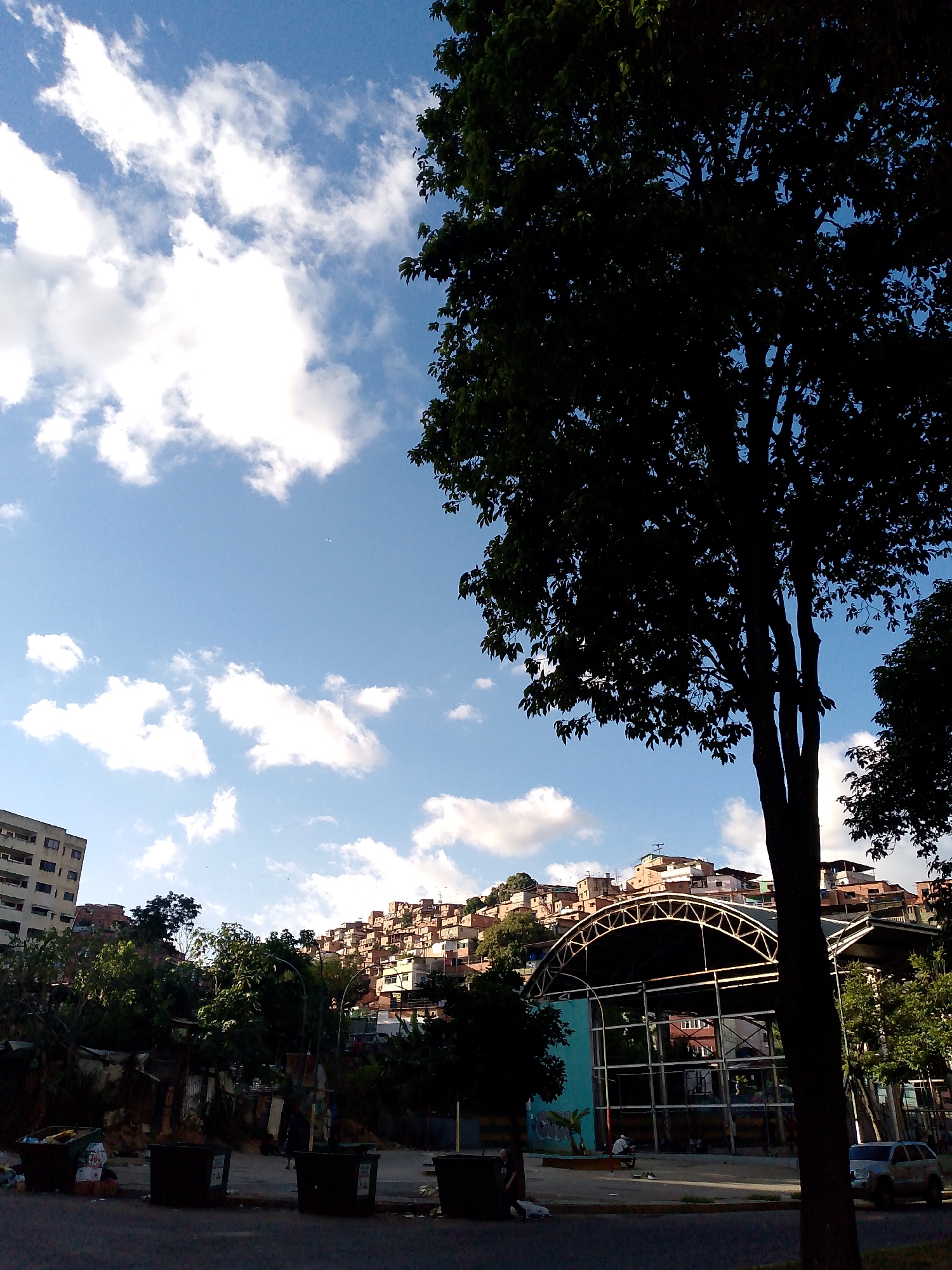 The image depicts a cityscape under a bright blue sky dotted with white clouds. In the foreground, a large tree with dark green foliage silhouetted against the sky dominates the right side of the frame. To the left, a multi-story building with numerous windows is visible. Behind the building and extending up a hill in the background are numerous houses with red-tiled roofs, characteristic of a hillside barrio, likely in Caracas, Venezuela, such as Petare or 23 de Enero.
In the middle ground, a covered structure with a curved, metallic roof and open sides is present. The structure appears to be a sports court or community center, with a blue wall on the left side and reflective panels on the right, mirroring the surrounding environment. A few individuals are discernible within or near this structure, though their actions are not clearly defined.
The lower portion of the image shows a street or road surface with several large, dark-colored trash bins lined up. Some debris is scattered around the bins. A silver SUV is parked on the right side of the road. The overall scene suggests an urban environment, possibly a residential area with a mix of modern and informal housing, under daylight conditions. The presence of the hillside houses strongly points to a location within Caracas, Venezuela.