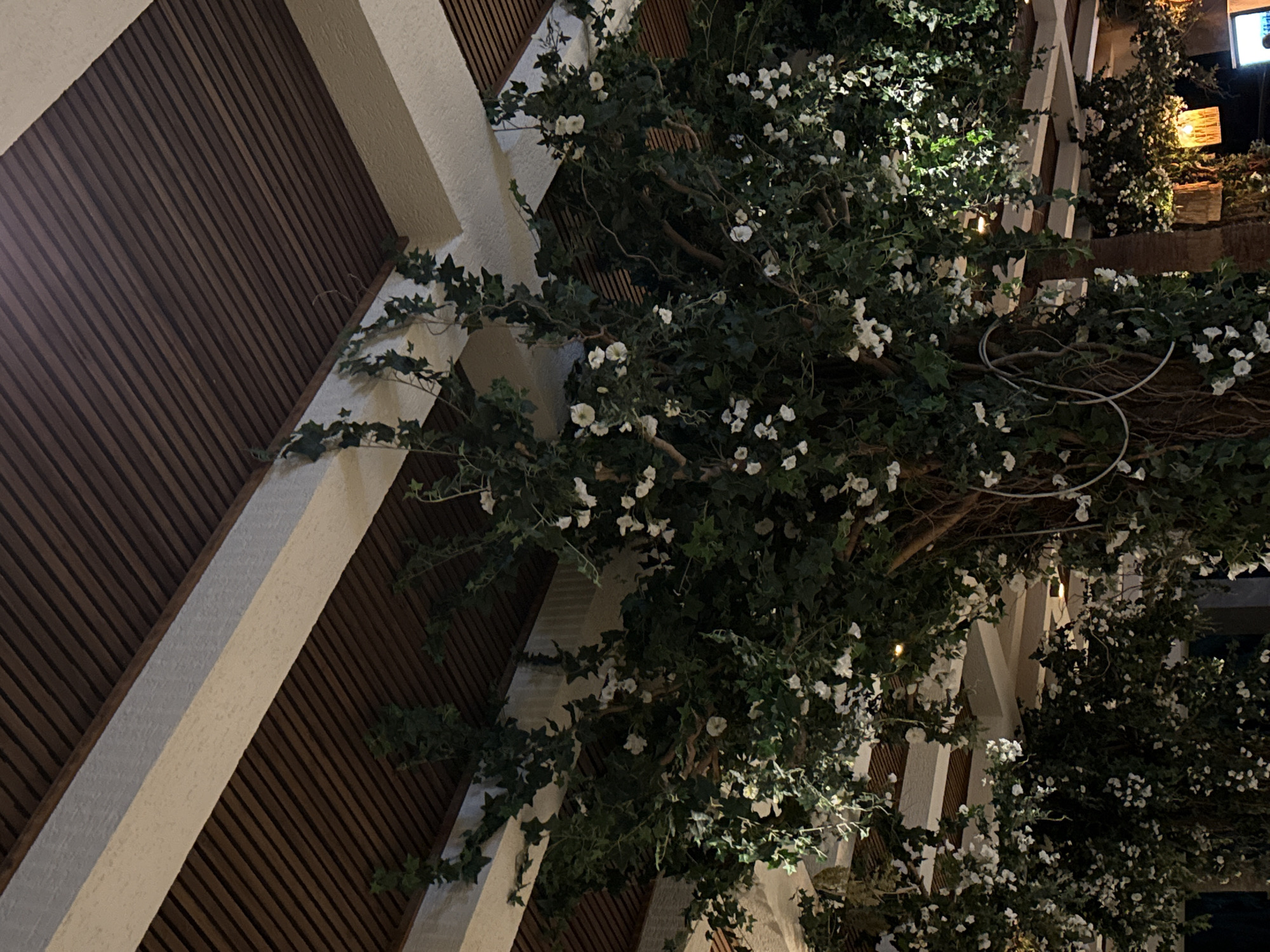 The image shows a close-up view of lush green artificial foliage, featuring numerous small white flowers, draped from a ceiling structure. The ceiling is composed of alternating dark wooden slats and off-white beams. The foliage appears to be part of an interior or covered outdoor decoration, possibly in a restaurant or event space. No people are visible in the image. The overall impression is one of abundant greenery and delicate white blooms creating an overhead canopy. The location is identified as Bodrum, Turkey, though no specific landmarks or city elements are depicted in the frame.