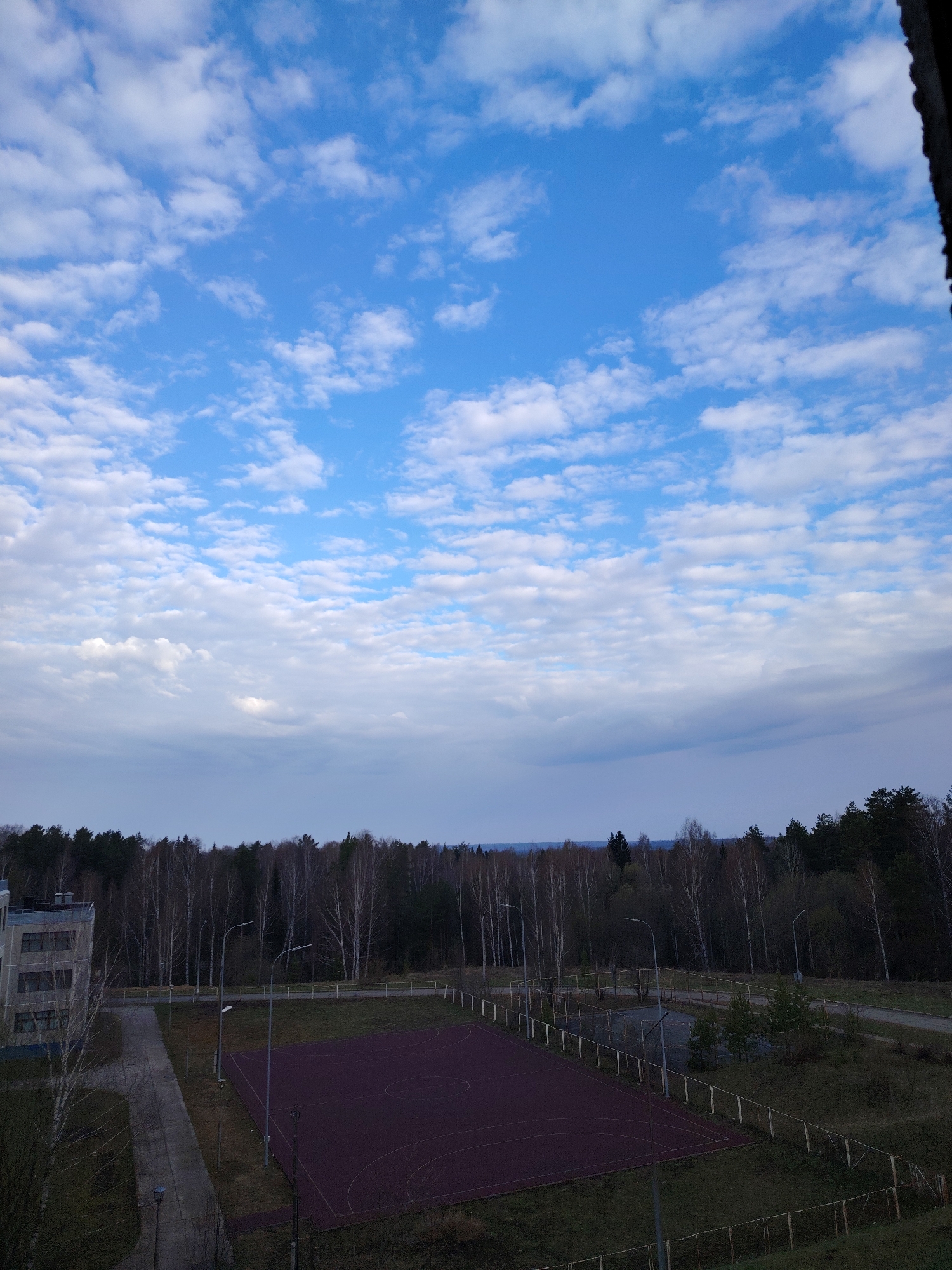 The image shows an outdoor view in Марковский, Russia, under a bright blue sky with scattered clouds. A large, reddish-brown sports court occupies the central foreground, surrounded by grass and a metal fence. Beyond the court, a dense forest of bare trees lines the horizon. To the left, part of a multi-story building with concrete walls and rectangular windows is visible. Streetlights are placed around the sports court and along a pathway. The overall scene suggests a quiet, possibly abandoned or underutilized, recreational area adjacent to a residential or institutional building.