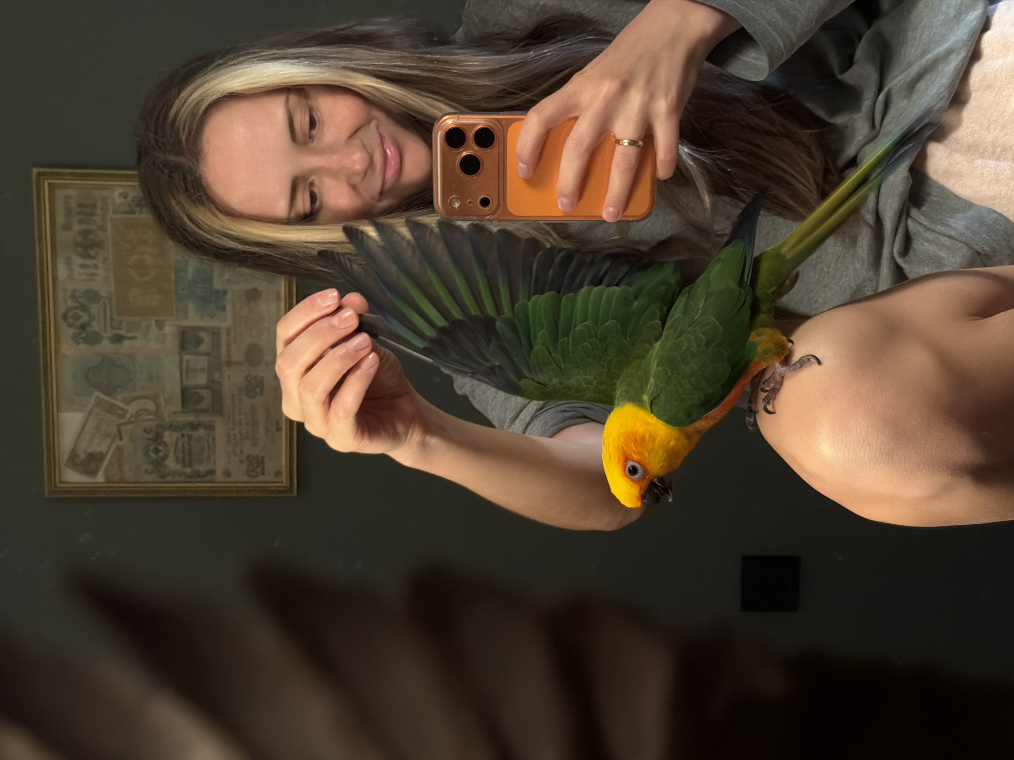 An adult female is depicted indoors, appearing to take a selfie with an orange-cased smartphone held in her left hand. She has long brown hair with distinct blonde streaks framing her face and is seen smiling with her gaze directed towards the phone screen. A simple gold band is present on her left ring finger. She wears a grey long-sleeved top.
Perched on her exposed right upper thigh or knee is a parrot, characterized by its bright yellow head, orange markings around the eyes, and a predominantly green body. The parrot's wings are partially extended, revealing the dark green and blue undersides of its flight feathers, and its beak is slightly open.
The background consists of a plain dark grey wall. Mounted on the wall to the upper right is a rectangular, gold-framed picture containing what appears to be a collage of aged paper currency or documents. A blurred, dark shape occupies the far left foreground. The scene is lit by soft, frontal illumination.