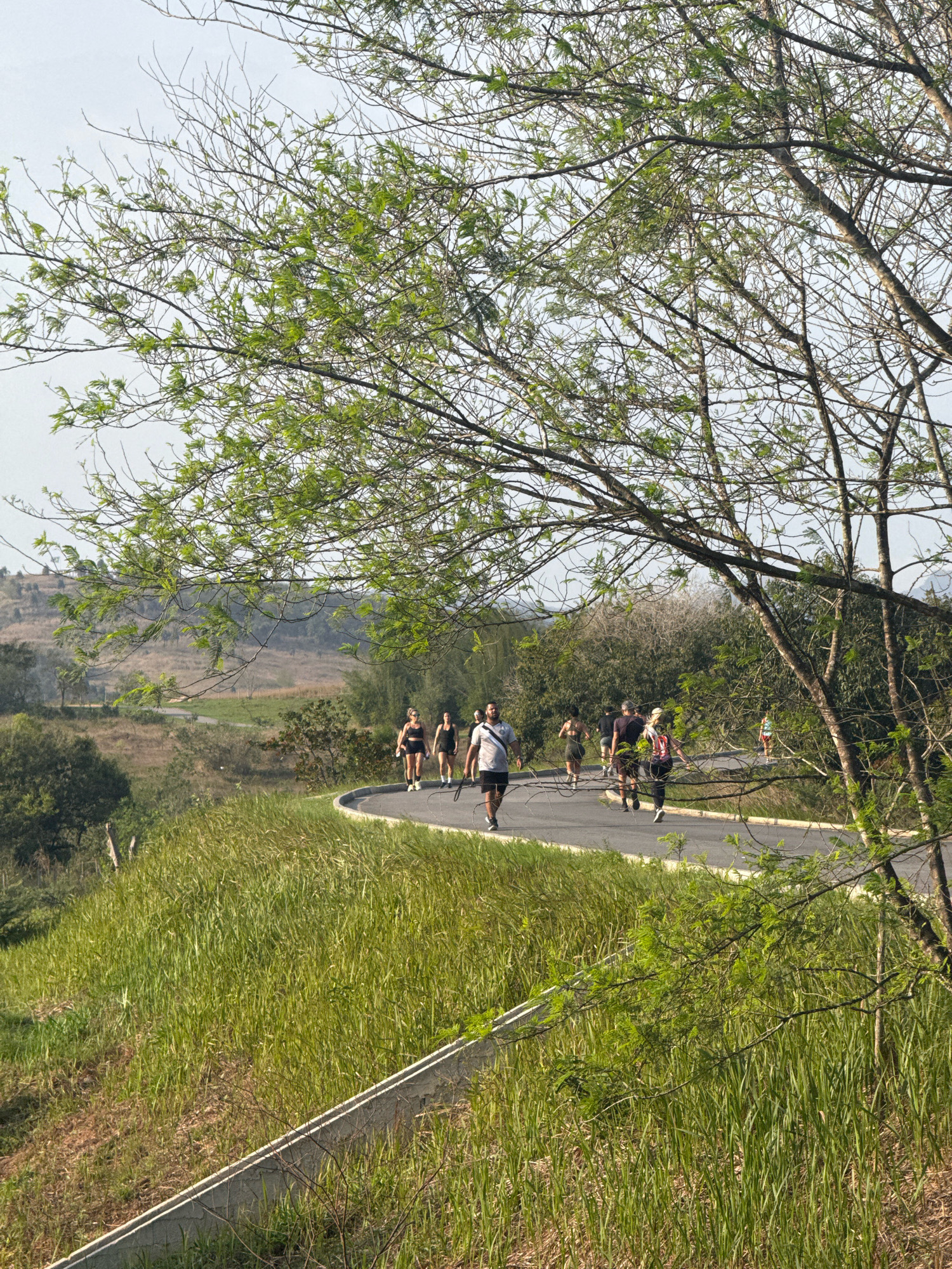 A group of approximately ten people are engaged in a morning run or walk on a paved road curving through a grassy, hilly landscape. The road is bordered by lush green grass on the left and a concrete barrier. Trees with sparse green leaves are visible in the foreground and background. The sky is overcast. The scene suggests an outdoor recreational activity taking place in a semi-rural or park-like setting.