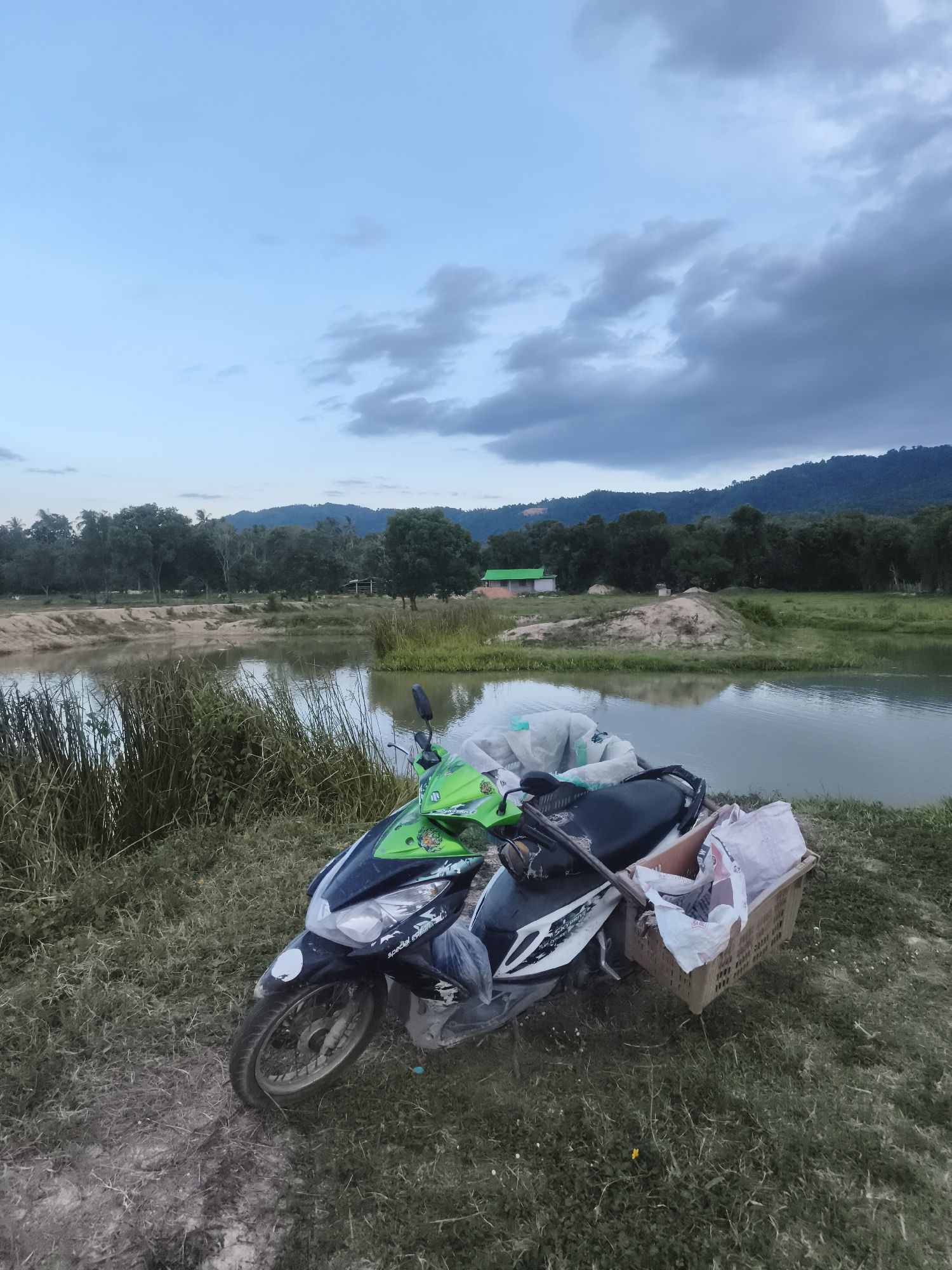 Memory
