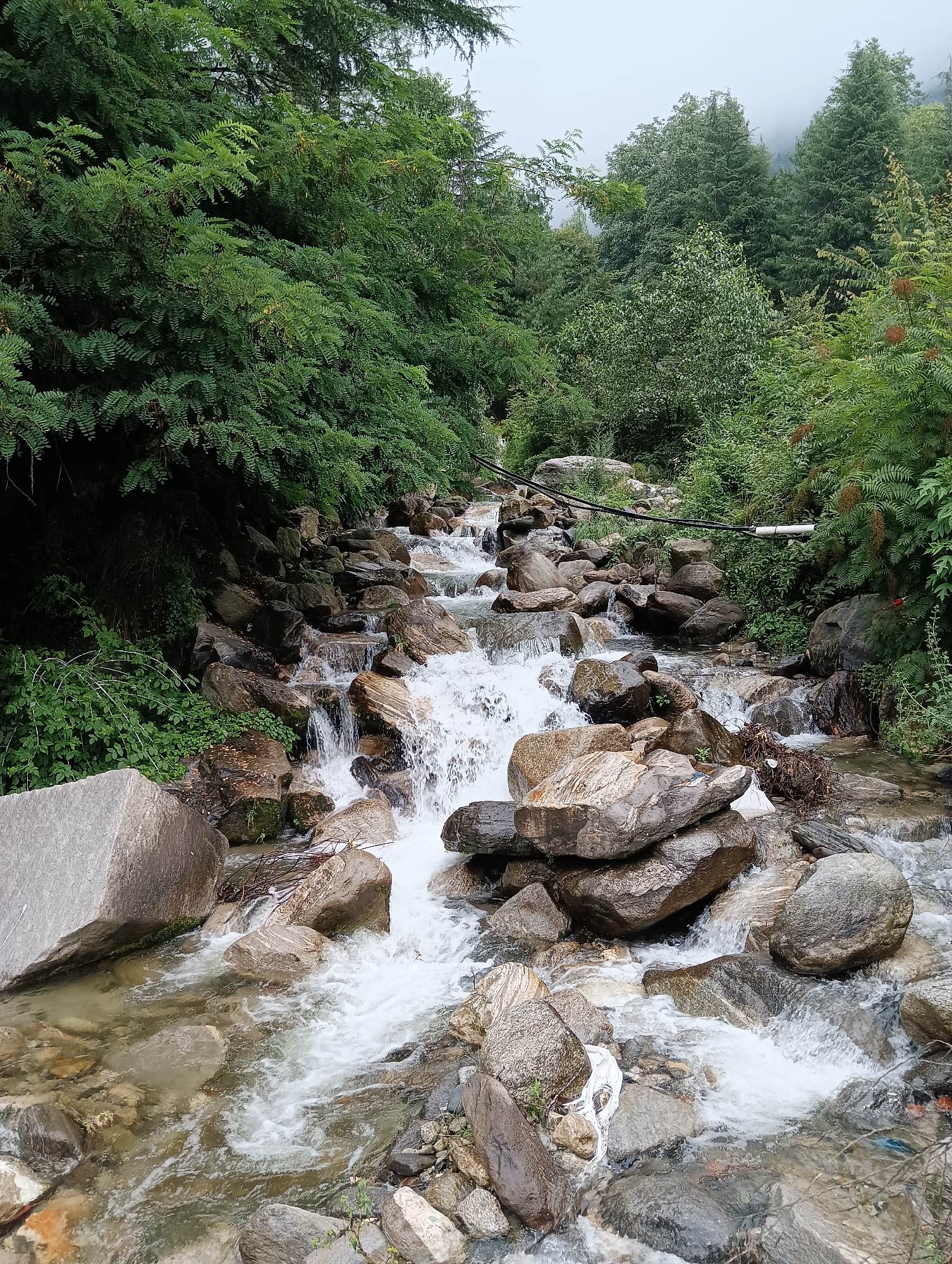 A river flows over rocks in a forest in Siumsa, India. The river is full of clear, flowing water that crashes over a series of rocks. The river is surrounded by lush green trees that are densely packed together. The sky is overcast and hazy.