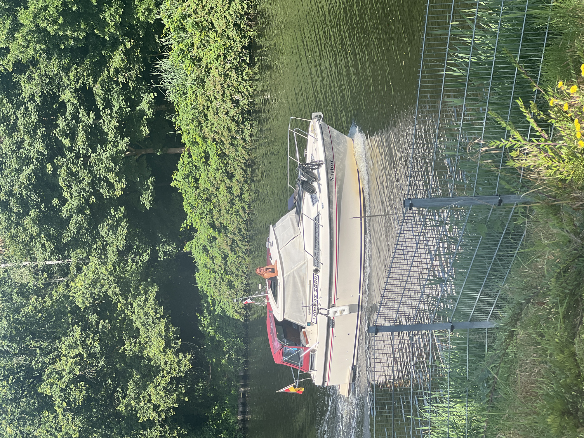 A motorboat named "Seebar" is navigating a body of water, likely a canal or river, near the bank lined with lush green trees and vegetation. The boat is white with a red canopy and has flags on its stern. A person is visible sitting on the upper deck of the boat, looking to the right. A metal fence runs along the foreground, separating the water from a grassy area with some yellow wildflowers. The scene appears to be set in Teltow, Germany, given the context provided. The water is rippled, indicating movement, and the sunlight suggests it is daytime.