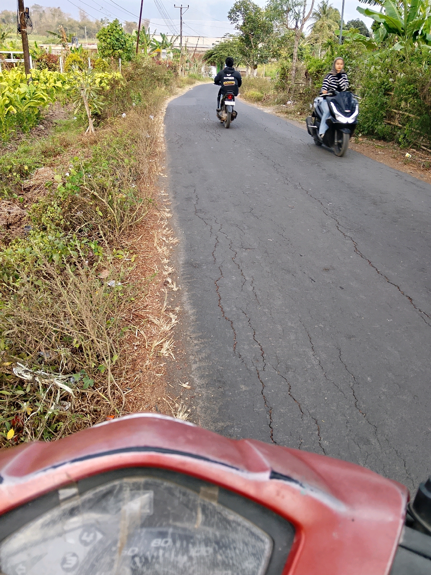 Memory