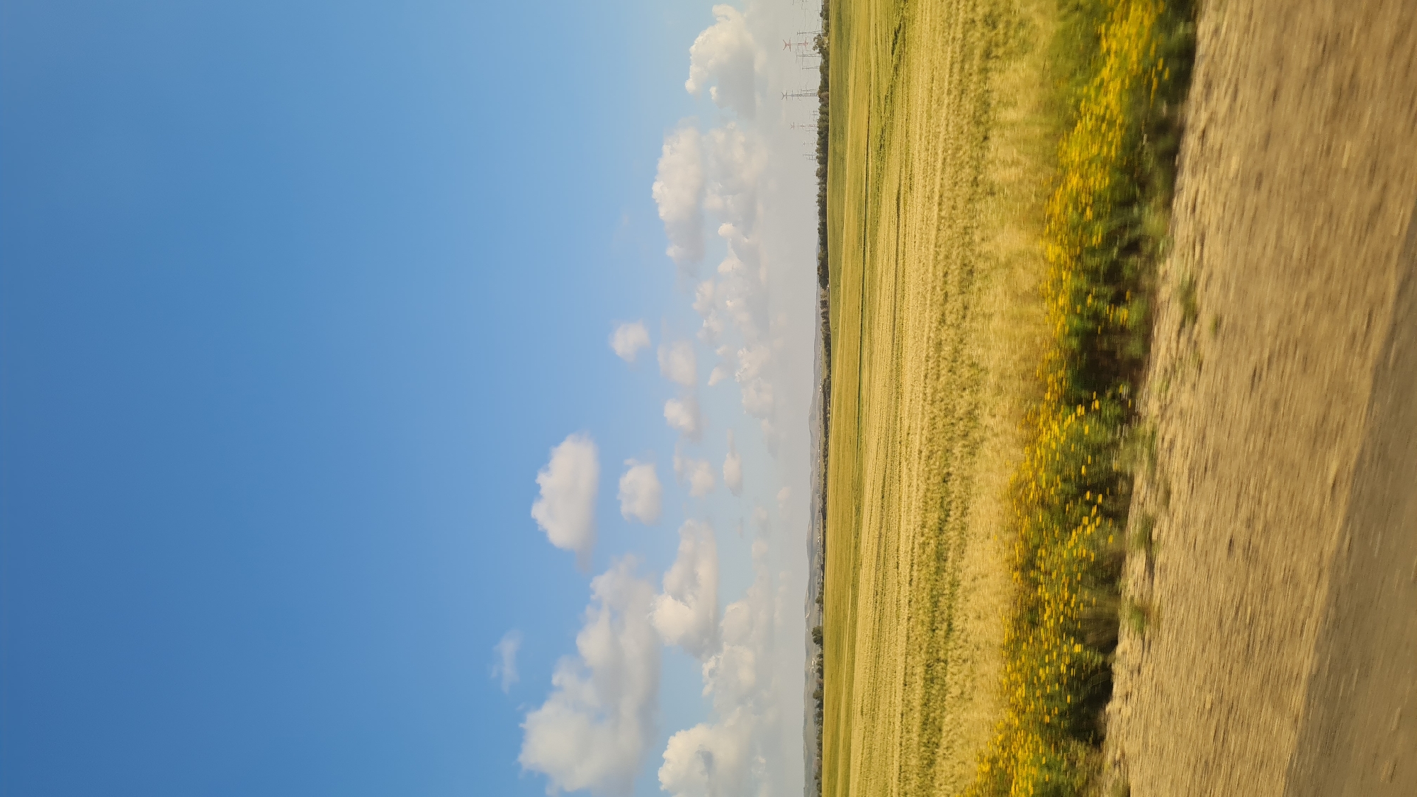 The image shows a landscape near Bnei Shimon Regional Council, Israel. A clear, blue sky with scattered cumulus clouds occupies much of the left side. A field of golden wheat or barley stretches across the middle ground, interspersed with yellow wildflowers. In the far distance, power lines are visible. A dirt road, blurred, runs along the right edge of the image. The photo is taken from a moving vehicle.