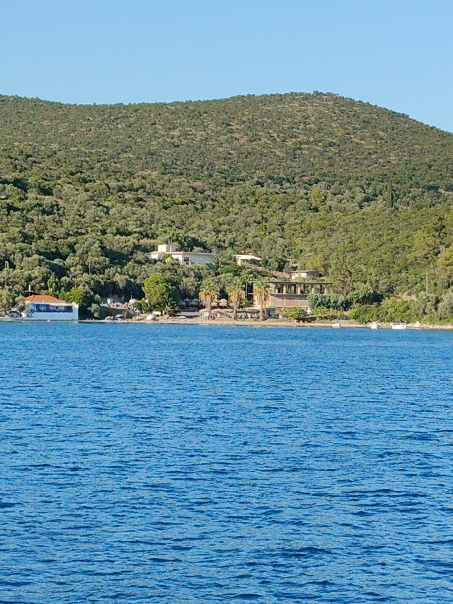 The image depicts a serene coastal scene under a clear blue sky. In the foreground, the deep blue water of the sea is calm with gentle ripples. The middle ground features a shoreline with vegetation, including palm trees and other greenery, leading up to a hillside covered in dense, green trees. Several buildings are visible along the coastline. On the left, a white building with a red roof is situated near the water's edge. Further to the right, a longer, multi-story building with a shaded outdoor seating area is nestled amongst the trees. A few small boats are also visible near the shore. The overall impression is one of a peaceful, natural environment with some human development.