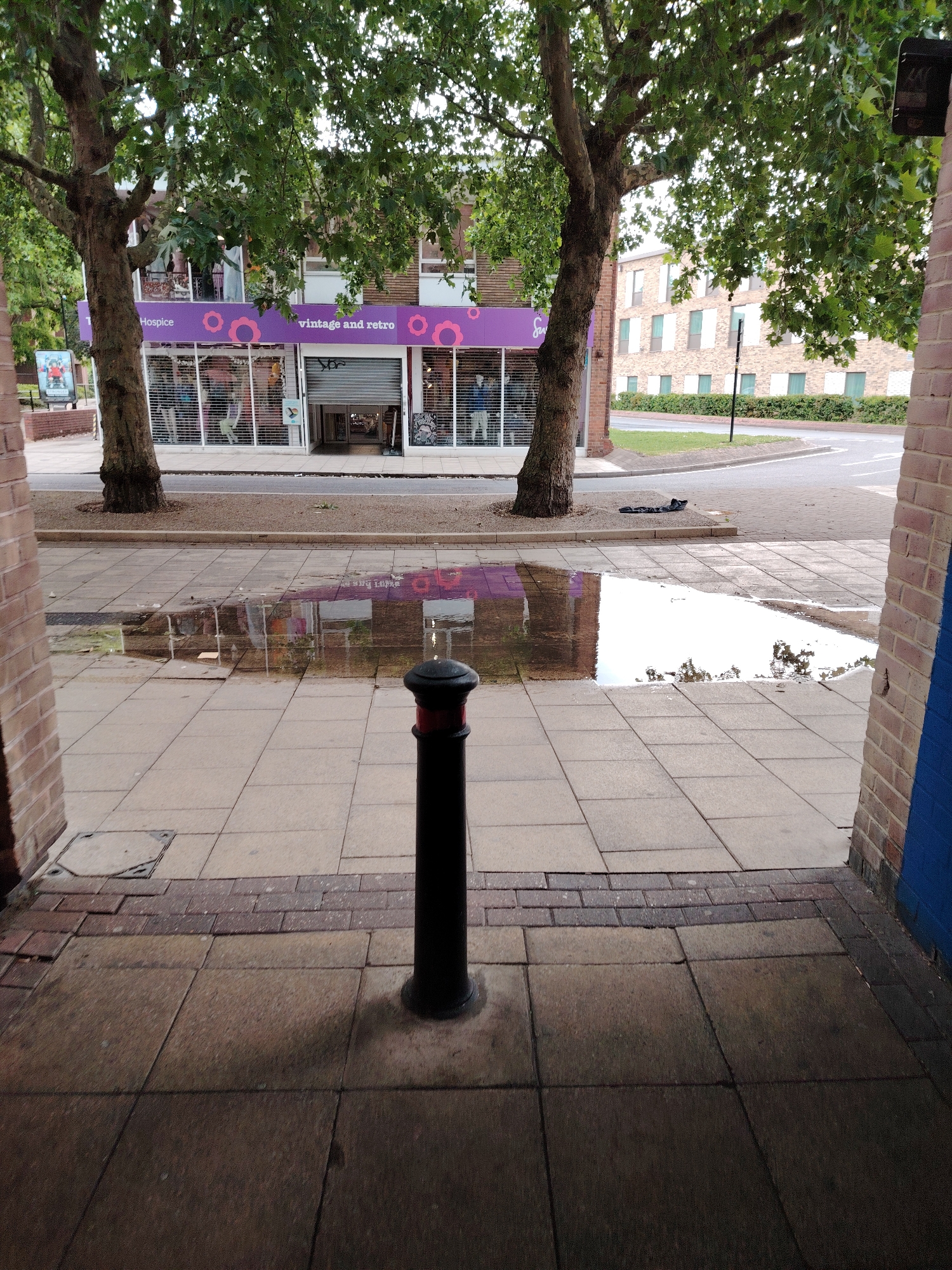 This image depicts a street scene in Peterborough, United Kingdom, specifically on Bridge Street, showing the Age UK Peterborough Charity Shop. The view is from a recessed, covered area, looking outwards.
In the immediate foreground, a dark, cylindrical bollard with a subtle red band near its top stands centrally on a pavement composed of square, light-grey concrete flagstones. The flagstones beneath the covered area are darker and appear damp. A square metal utility cover is visible on the pavement to the left. The scene is framed by brick walls on both the left and right, with the right wall featuring a section of blue paint near its base.
Beyond the covered area, a large puddle of water occupies a significant portion of the pavement, reflecting the storefront and trees. Across the wet pavement, a road is visible, with a single large tree featuring green foliage positioned on the left side of the road. On the opposite side of the road, a two-story building houses a charity shop with a distinctive purple fascia displaying "Hospice vintage and retro" text alongside flower motifs. The shop appears closed, with silver metal security shutters partially lowered over its display windows, revealing mannequins and merchandise within. The main entrance, located to the right of the shop front, has its security shutter fully raised.
Further in the background, to the right of the charity shop, another large tree with green foliage partially obscures a multi-story brick building characterized by numerous windows, many fitted with light-colored blinds or screens. A manicured green verge with a low hedge separates this building from the road. The road curves to the right, indicating a junction with visible white road markings. The sky is overcast. No people are present in the scene.