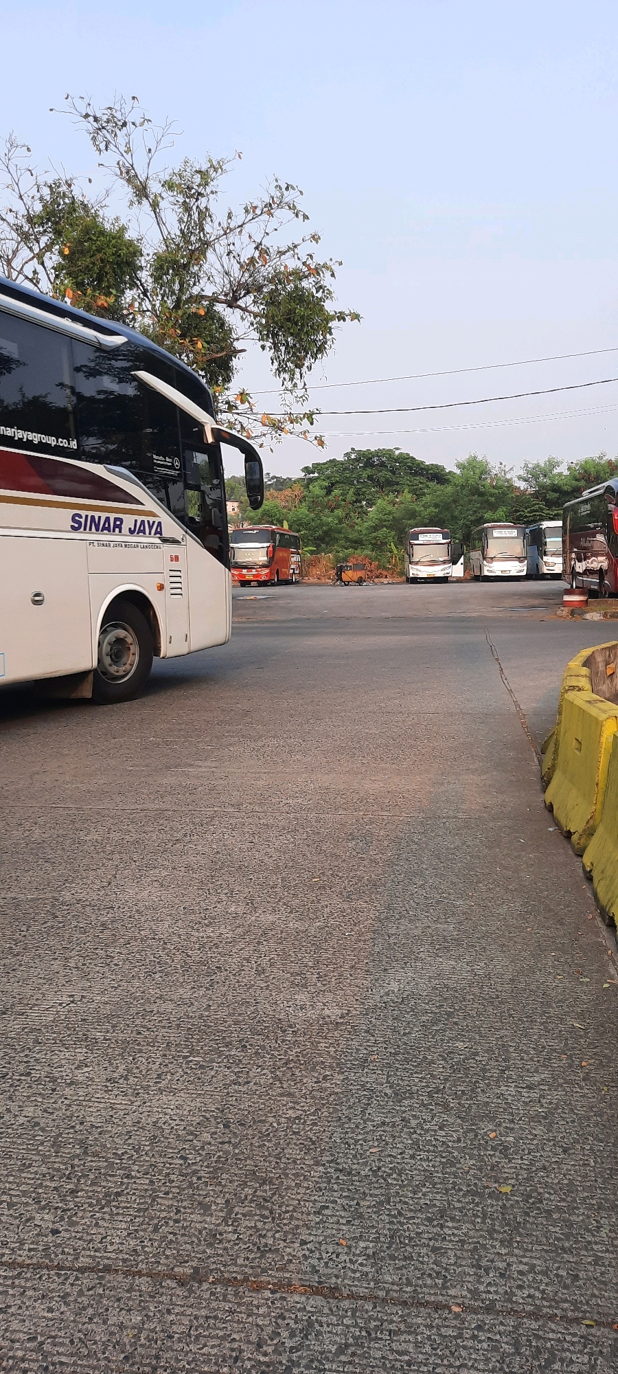 The image captures a bus parking lot in East Jakarta, Indonesia, bathed in the soft light of early morning or late afternoon. Dominating the foreground is the side of a large white and dark blue bus with the "SINAR JAYA" logo prominently displayed. The bus appears to be stationary, likely parked. Further into the background, several other buses, varying in color and design, are also parked. One red bus is particularly noticeable, and others are seen lined up. The parking lot itself is paved with asphalt, showing signs of wear and tear. A yellow barrier, possibly a Jersey barrier, runs along the right side of the image. Lush green trees form a backdrop behind the buses, suggesting the presence of vegetation or possibly a park nearby. The sky is a pale blue, indicating fair weather conditions. There are no visible people in the frame, and the scene is static, depicting a typical day at a bus terminal or depot.