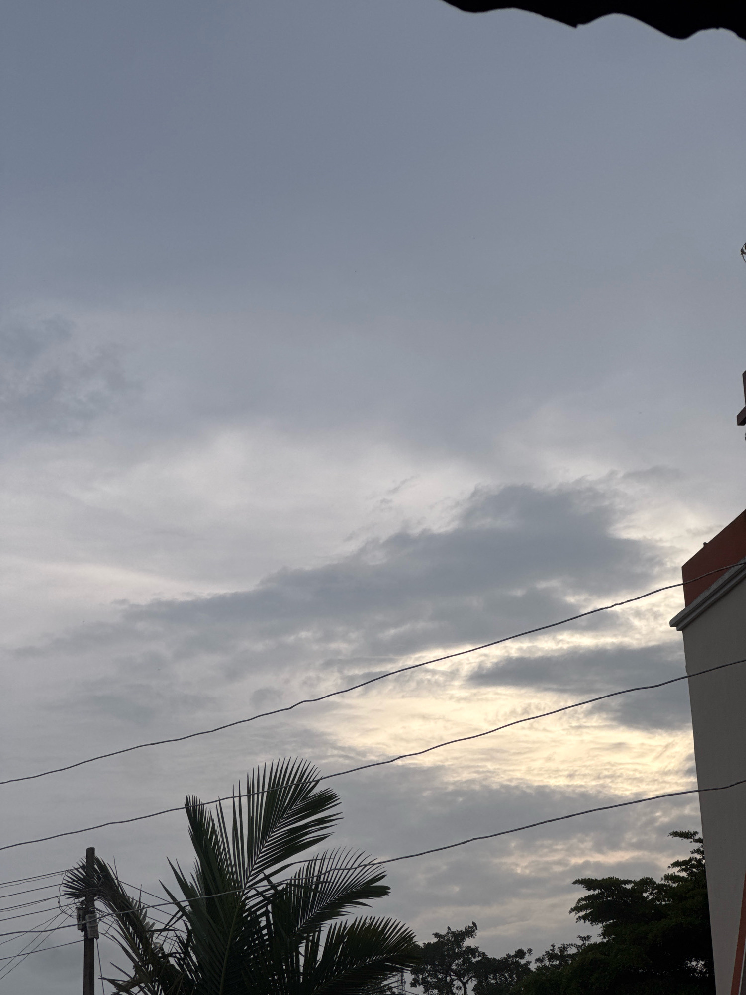 The image is a low-angle, wide shot of a cloudy sky over an urban environment. The sky is filled with varying shades of gray clouds, with patches of brighter light suggesting the sun is attempting to break through. In the foreground, a power pole with numerous wires is visible on the left side of the frame, along with the fronds of a palm tree. To the right, the corner of a building with an orange roof and white facade is partially visible. Dense green trees can be seen in the lower right portion of the image. The overall impression is of an overcast day in a city, with a mix of natural elements and man-made infrastructure.