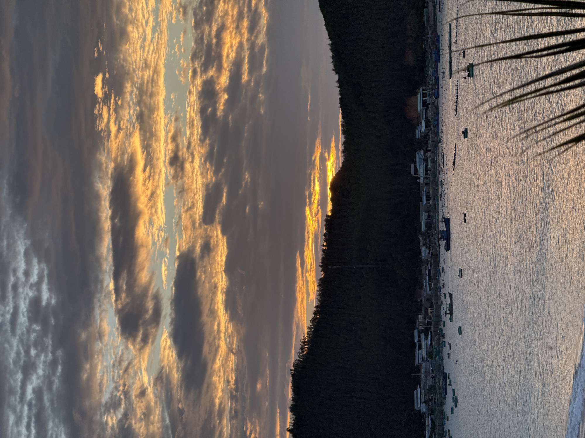 A vertical, eye-level shot captures a serene coastal scene at dusk in Song Cau, Vietnam. The sky is a canvas of dramatic, fiery clouds, transitioning from warm oranges and yellows near the horizon to darker grays and blues higher up. Below the sky, a dense, dark green forest blankets the rolling hills that form a backdrop to a tranquil bay. The bay is dotted with numerous small fishing boats, some clustered near the shore and others scattered across the water. A small coastal village with houses and structures is visible along the shoreline, nestled at the base of the forested hills. The water itself reflects the muted colors of the sky, creating a shimmering, textured surface. In the foreground, the tips of palm fronds, silhouetted against the water, add a touch of natural framing to the composition. The overall atmosphere is one of peacefulness and natural beauty as day transitions into night.