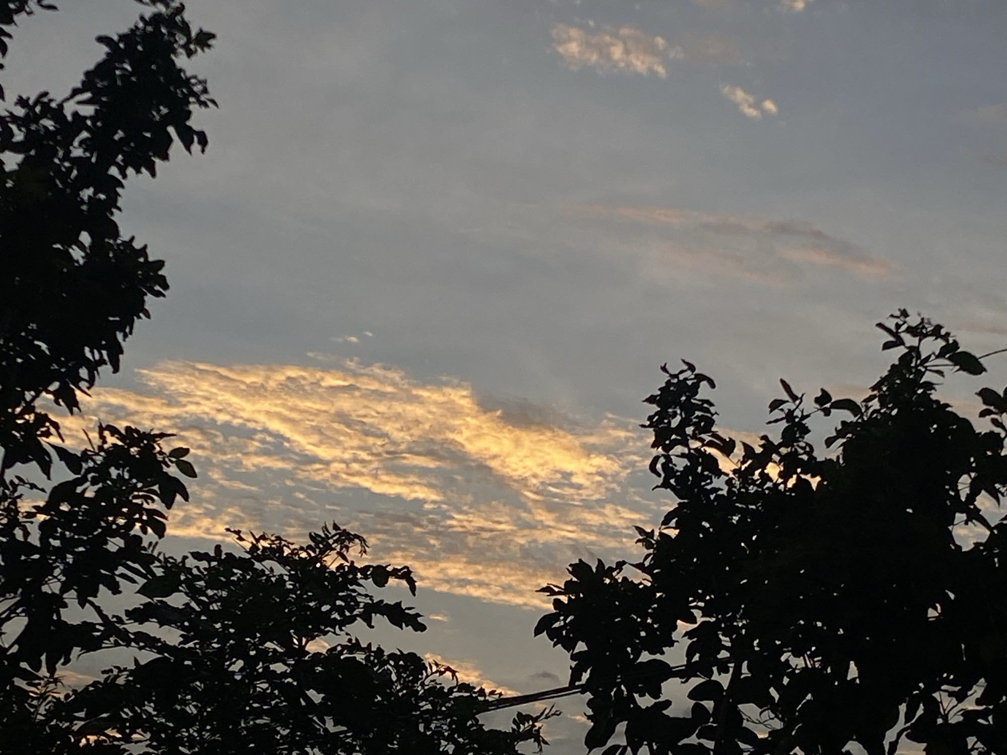 A twilight sky is visible through the silhouettes of trees. The sky is a gradient of pale blue to a dusky gray, with scattered clouds that are illuminated in hues of orange and yellow by the setting sun. The trees are dark and featureless, their leaves and branches creating intricate patterns against the sky. The image captures a serene and natural scene, typical of rural or suburban environments, and is consistent with the natural landscapes found in Unwana, Nigeria, particularly during the transition from day to night. There are no people or explicit human activity depicted in the image.