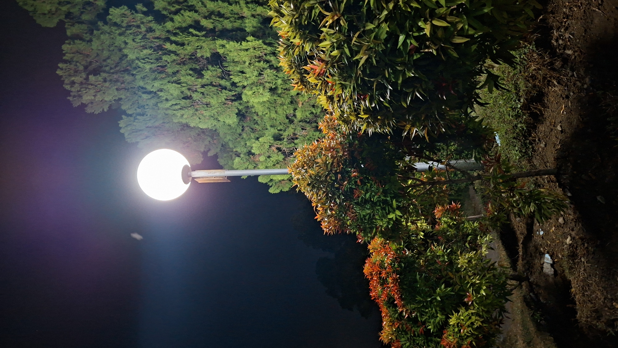This image depicts a night scene in a park or garden area within Lhokseumawe, Indonesia. A prominent, brightly lit spherical lamp post stands to the left of center, casting a warm glow on its surroundings. In front of the lamp post, a row of neatly trimmed bushes with vibrant red and green foliage is visible. Behind these bushes, a tall, dense evergreen tree forms the backdrop. The ground beneath the plants is dark and appears to be covered with soil and some scattered debris. The sky above is dark, indicating nighttime, with a faint, out-of-focus light or object visible in the upper left quadrant. The overall impression is a well-maintained outdoor space illuminated for nighttime ambiance.