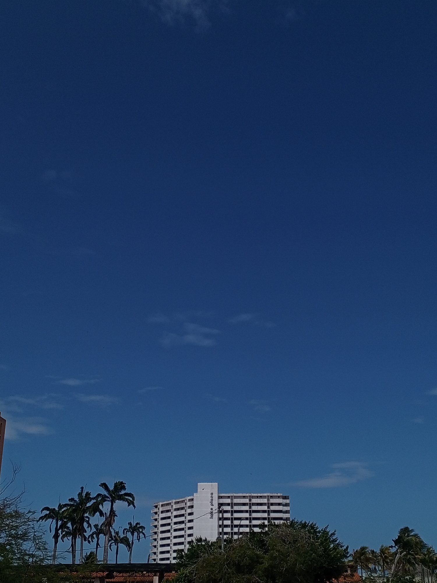 The image displays a bright, sunny daytime scene in Porlamar, Venezuela, characterized by a vast, deep blue sky that occupies the majority of the frame. Scattered across the sky are a few sparse, wispy white clouds. In the lower part of the image, the tops of several tall palm trees with dark green fronds are visible, clustered together. To the right of these palm trees stands a prominent, multi-story white building with numerous windows or balconies. Vertically written on the visible side of this building, the text "Lake Plaza" is clearly discernible. Green foliage from other trees is visible in the foreground and along the base of the buildings, suggesting an urban or resort environment. The scene depicts no explicit activity, presenting a static view of the landscape under clear weather conditions.