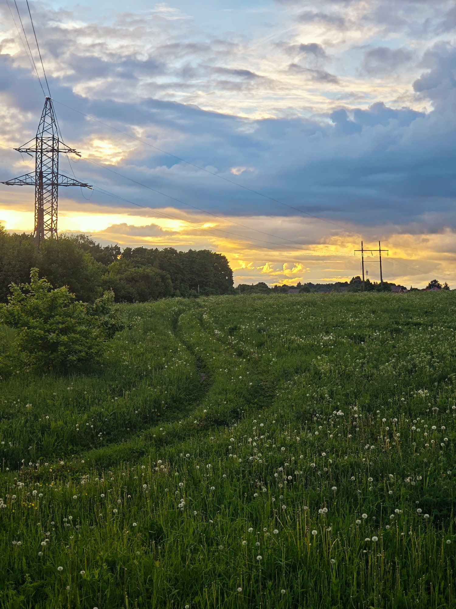 The image captures a rural scene in what could be Курово, Russia, given the presence of electrical pylons, a common feature in Russian landscapes. The foreground is dominated by a lush green field filled with dandelions. A dirt track meanders through the field, suggesting vehicle or foot traffic. In the midground, a line of trees marks a boundary, beyond which two electrical pylons stand silhouetted against a sunset sky. The sky displays a mix of blues, grays, and oranges, indicating either dawn or dusk. The image is devoid of people. The primary subjects are the natural environment and the industrial infrastructure. The interaction is between the man-made pylons and the natural environment of the field.