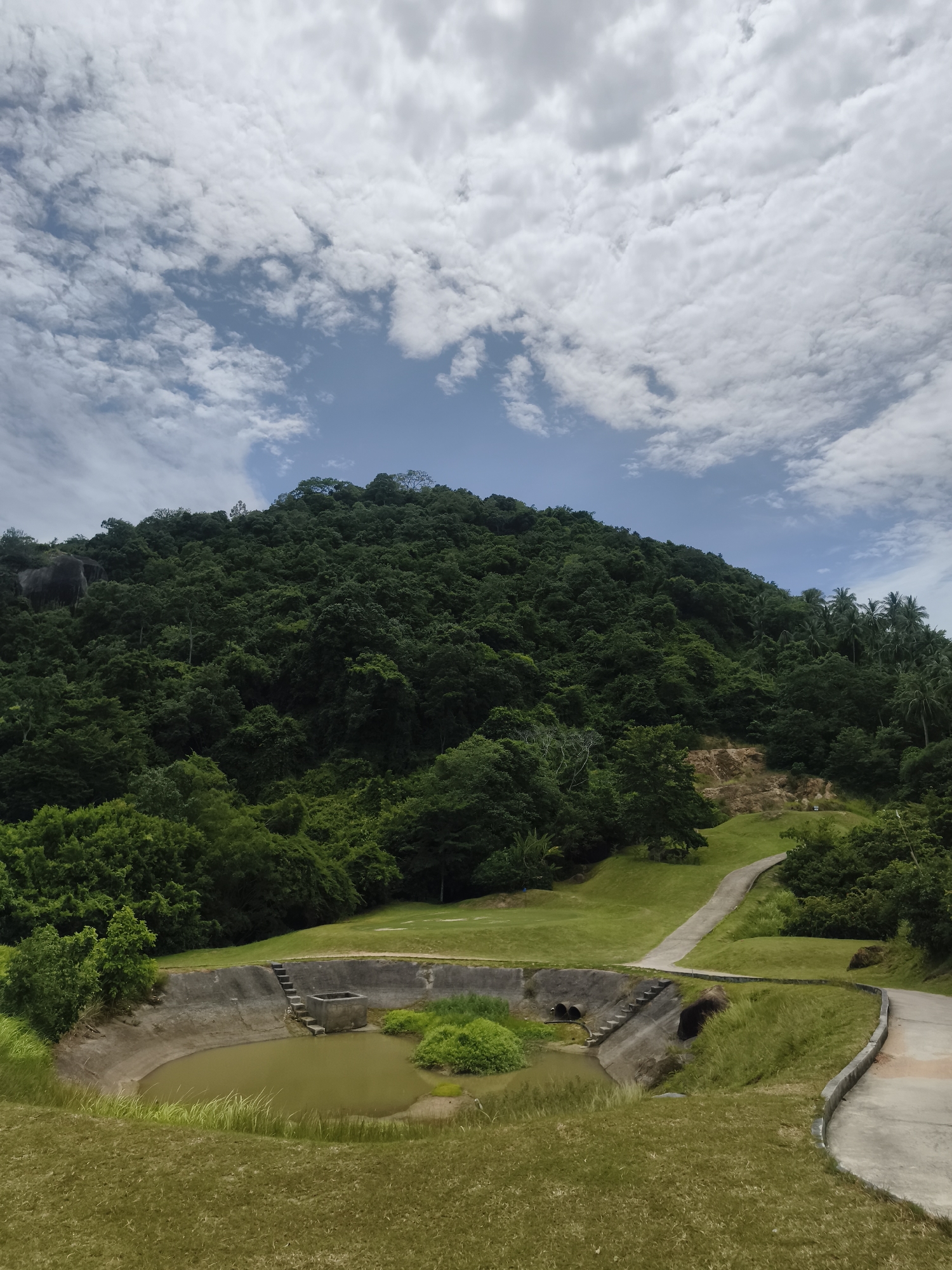 A wide shot captures a lush, green hillside under a partly cloudy sky in the Ko Samui District of Thailand. In the foreground, a man-made concrete reservoir holds murky water and is surrounded by green grass. A paved path winds its way up the grassy slope, leading towards the dense foliage that covers the hillside. The hillside is densely populated with various trees, creating a thick, green canopy that extends to the horizon. The sky above is a mix of blue patches and fluffy white clouds, suggesting a bright, possibly humid day. The scene appears to be a park or a natural reserve, with man-made elements integrated into the natural landscape. No people are visible in the frame.