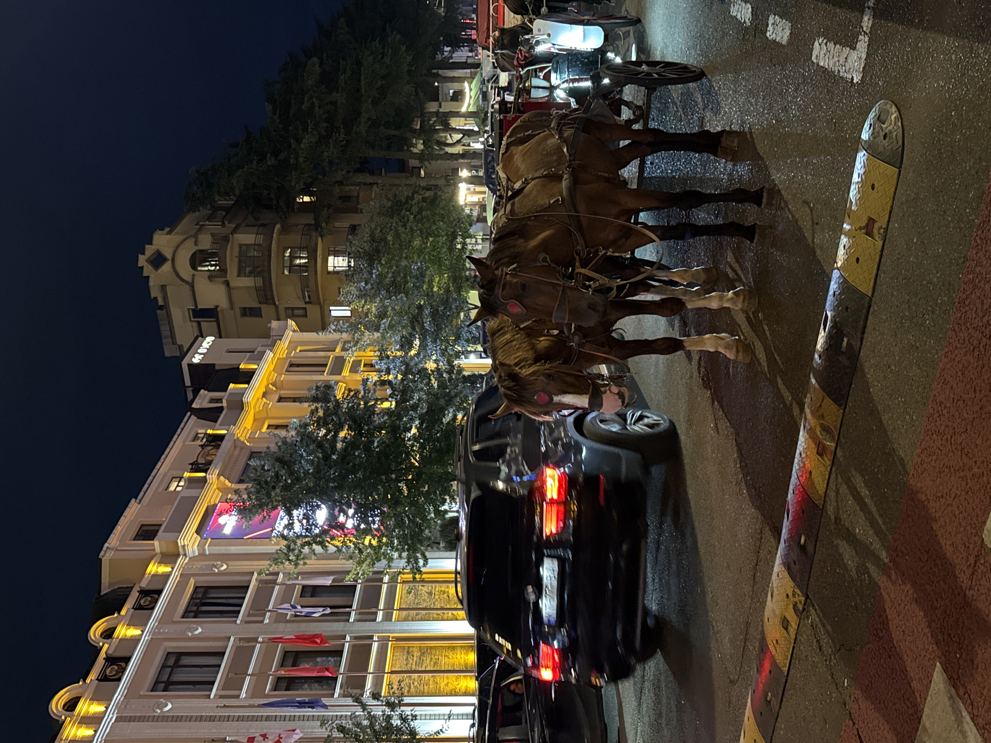 The image depicts a street scene in Batumi, Georgia, at night. Two brown horses are harnessed to a carriage, standing on a wet asphalt road. The horses are equipped with saddles and bridles. Behind the horses, a black SUV is visible with its taillights illuminated. In the background, a row of buildings with illuminated windows and architectural details lines the street. The buildings appear to be hotels or commercial establishments. Flags, including the Georgian flag, are displayed on one of the buildings. The street is marked with speed bumps and white lane lines, suggesting an urban environment. The sky is dark, indicating nighttime.