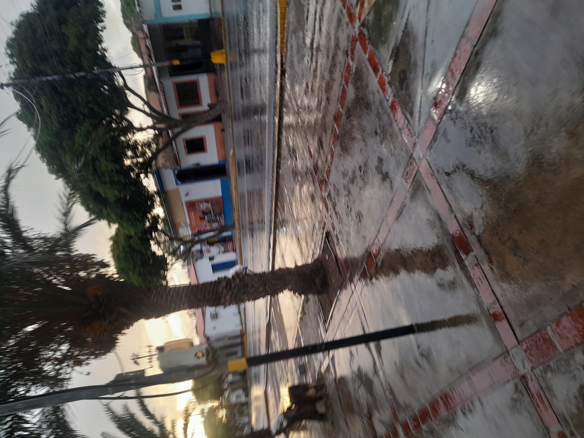 The image depicts a street scene in Santa Ana, Venezuela, during what appears to be a period of rainfall. The ground, including the sidewalk and the street, is wet and reflects the overcast sky and surrounding structures. A palm tree with a rough trunk and fronds dominates the left side of the frame, partially obscuring a utility pole. Adjacent to the utility pole is a traffic signal box.
In the background, several buildings line the street. These structures have white facades, some with orange trim around windows and doorways. One building features a blue door. Trees with full green canopies are visible between the buildings. The street itself is wet and appears to be asphalt. The sidewalk is paved with concrete tiles interspersed with red brick borders, forming a geometric pattern.
On the left side of the sidewalk, a dark-colored bench is partially visible. The overall atmosphere suggests a quiet, possibly deserted street, with the rain impacting visibility and the reflective surfaces. The lighting is dim, consistent with an overcast day or early evening.