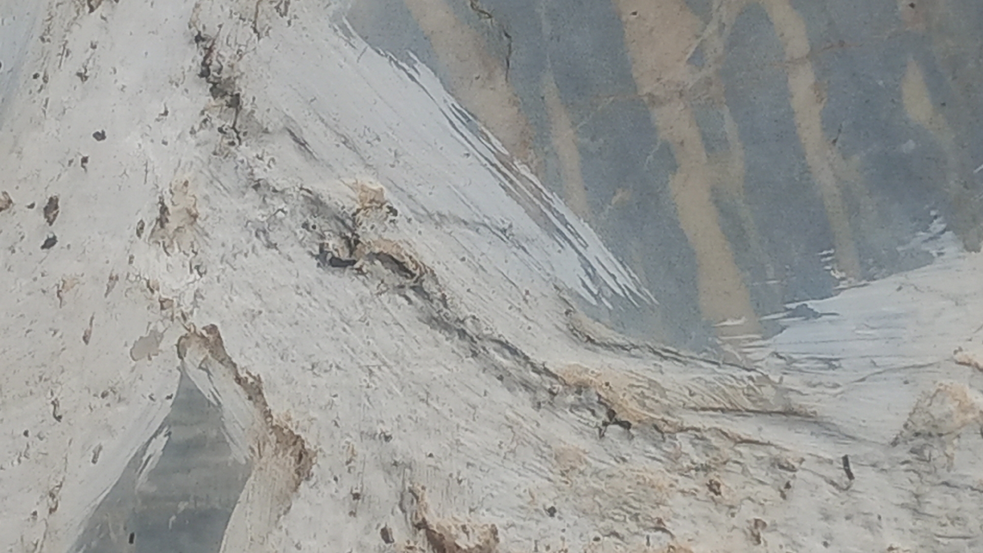 The image shows a close-up of a rough, textured surface, likely natural rock or concrete, with distinct variations in color and texture. The dominant colors are light gray, white, and brown, with some darker gray or blueish-gray patches. There are visible striations and cracks, suggesting weathering or erosion. The surface appears somewhat uneven and rugged. The location in Agios Nektarios, Greece is not determinable from the visual information provided.