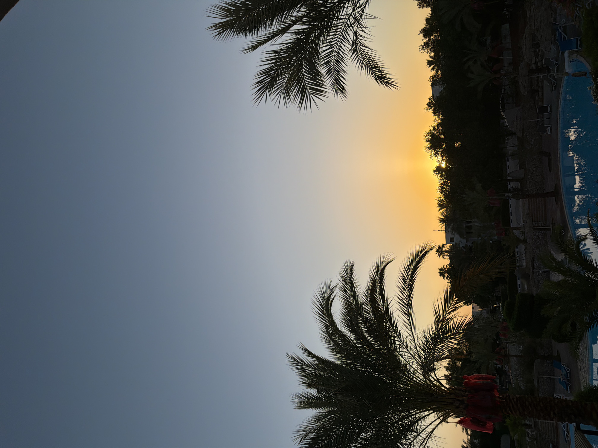 The image captures a serene sunset scene in Sharm El Sheikh, Egypt. The sky transitions from a pale blue at the top to a warm gradient of yellow and orange near the horizon, indicating the sun is setting. Silhouetted against this vibrant sky are the distinct fronds of two palm trees, one on the left and another on the right, framing the view.
Below the sky, a dense line of dark green trees forms a treeline, with several palm trees interspersed among them. The setting sun is partially visible behind these trees, casting a warm glow. In the foreground, a swimming pool with clear blue water reflects the sky and surrounding greenery. The pool area appears to be part of a resort, with lounge chairs and thatched umbrellas visible in the background, suggesting a recreational setting. One palm tree on the left is adorned with several red, decorative bundles wrapped in netting, adding a touch of cultural detail. The overall impression is one of tranquility and tropical beauty at dusk.