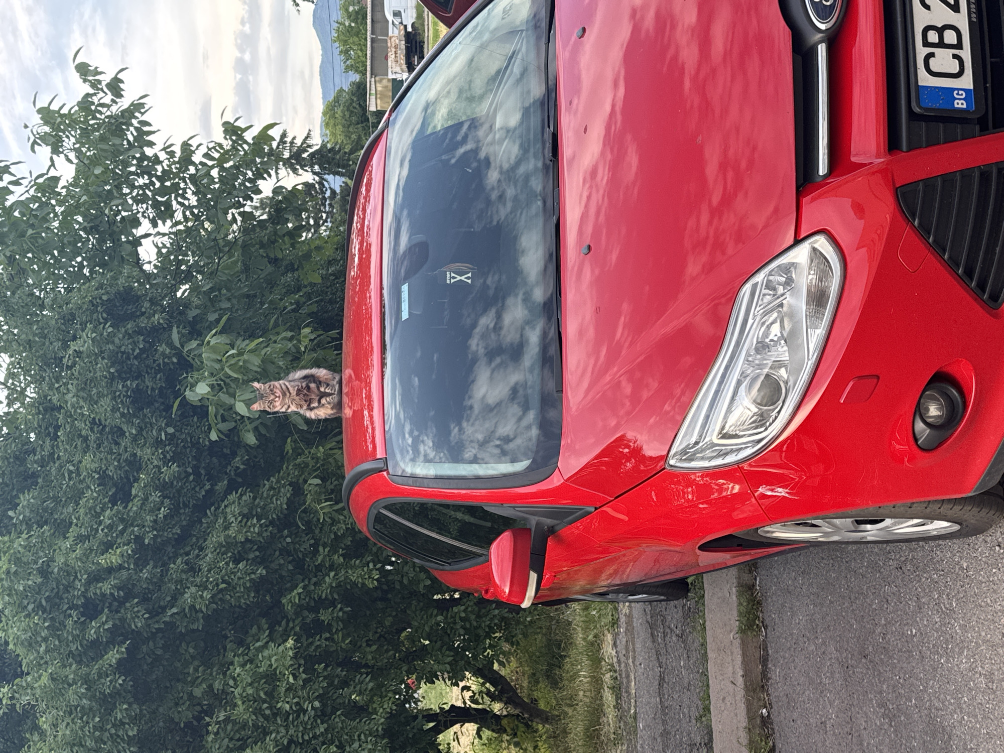 The image displays a bright red Ford car, possibly a hatchback, parked on an asphalt road with a concrete curb. A tabby cat with striped fur is perched within the dense green foliage of a tree or bush situated immediately to the left of the car.
The front of the car is visible, featuring a clear "FORD" logo on the grille and a Bulgarian license plate partially showing "BG CB 2...". A small "WWW" text is also visible near the Ford logo. There's a distinct white scratch mark on the lower right side of the front bumper, above the wheel. The car's windshield reflects cloudy skies, and a small sticker with an 'X' symbol and unreadable text is affixed to the dashboard inside.
The background reveals more lush green trees and distant mountains under a mostly cloudy sky, indicating daytime. The scene appears to be in an urban or suburban setting, consistent with the provided context of Sofia, Bulgaria.