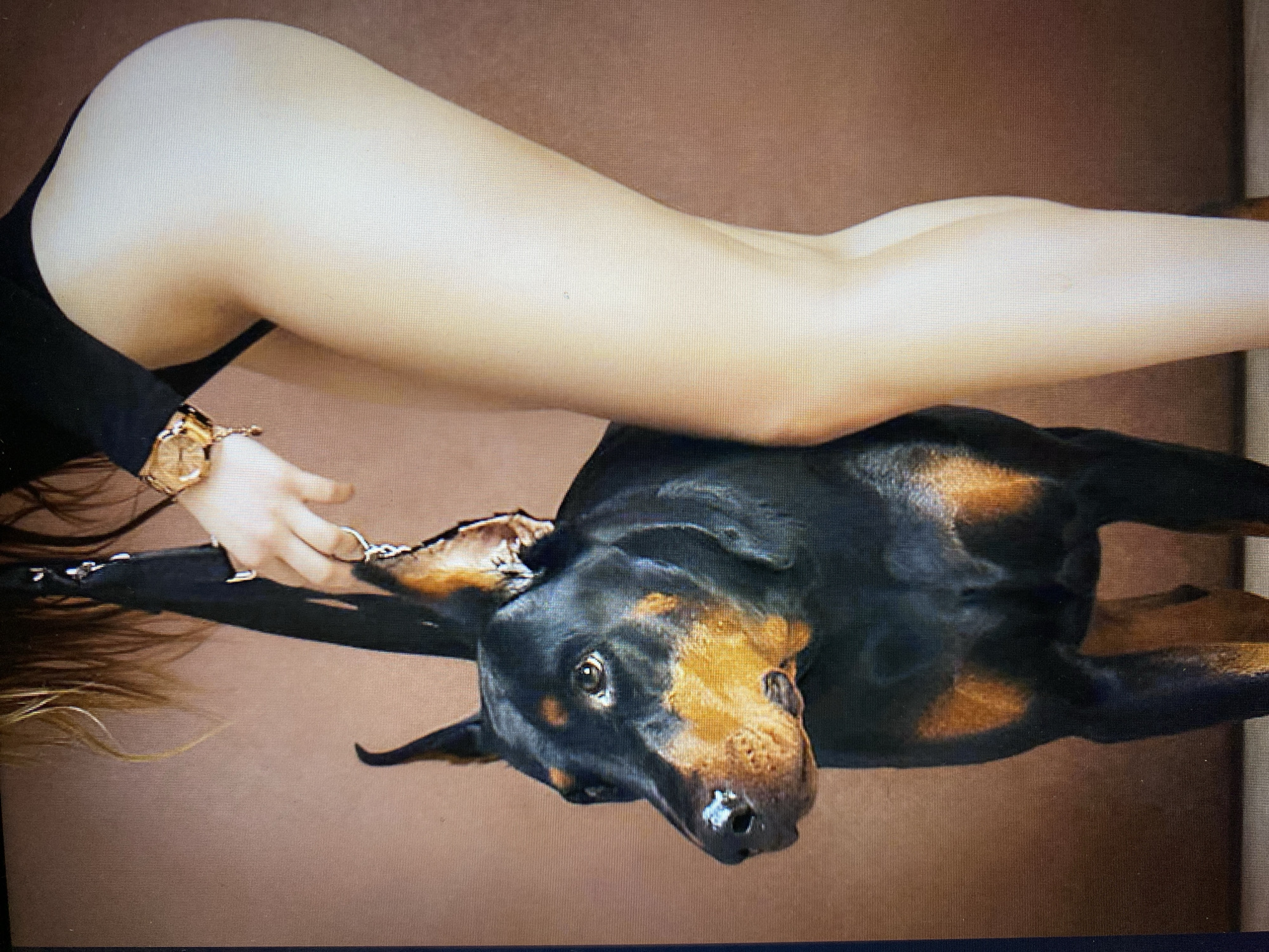 A Doberman pinscher stands to the left of a person. The dog is black and tan and is facing left. The person is partially visible from the waist down, wearing a black leotard or swimsuit and a gold-toned bracelet on their left wrist. The person's hand is resting on the dog's leash, which is black. The background is a solid brown color. The image is taken from a medium distance, focusing on the dog and the lower portion of the person.