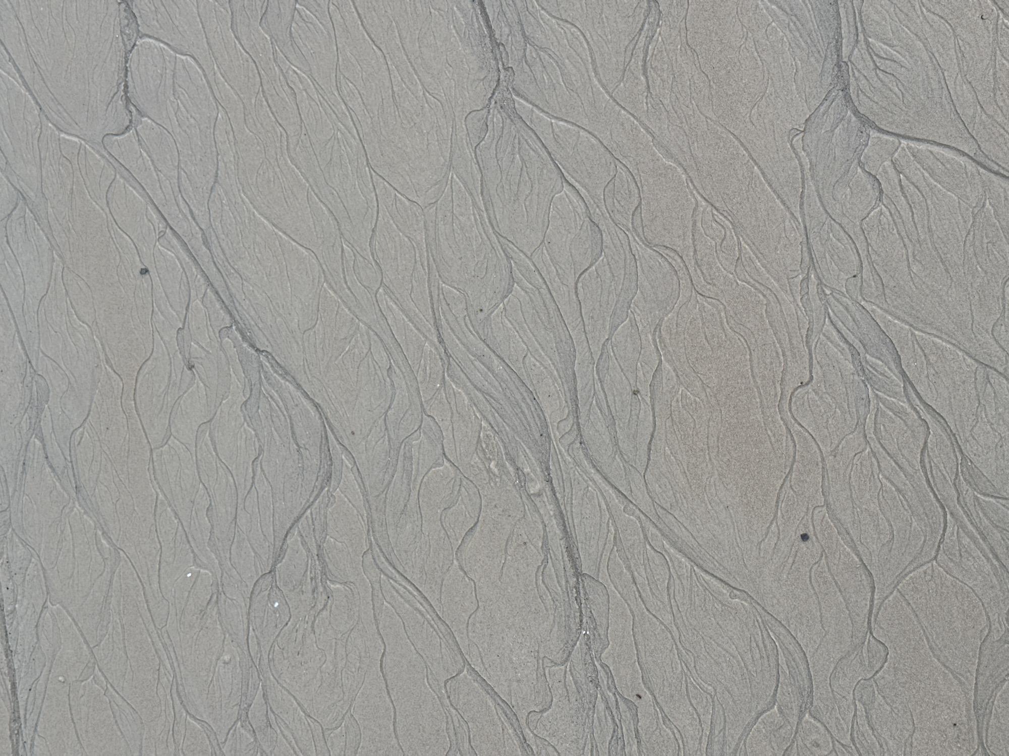 The image shows sand at a beach in an unknown city and location. The sand has been textured by water, creating a network of channels and rivulets. The overall tone is grey. There are no visible people, objects, or actions.
