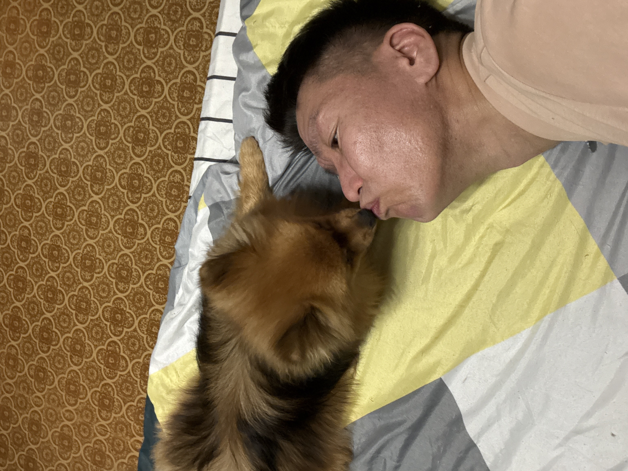 A person is lying on a bed, with a dog next to them. The person is leaning towards the dog, with their lips puckered as if to kiss the dog. The dog, which appears to be a Pomeranian, is also leaning towards the person, with its head slightly lowered. The bed has a patterned comforter with geometric shapes in shades of yellow, grey, and white. In the background, there is a wall with a brown, textured wallpaper featuring a repeating floral pattern. The scene appears to be indoors.