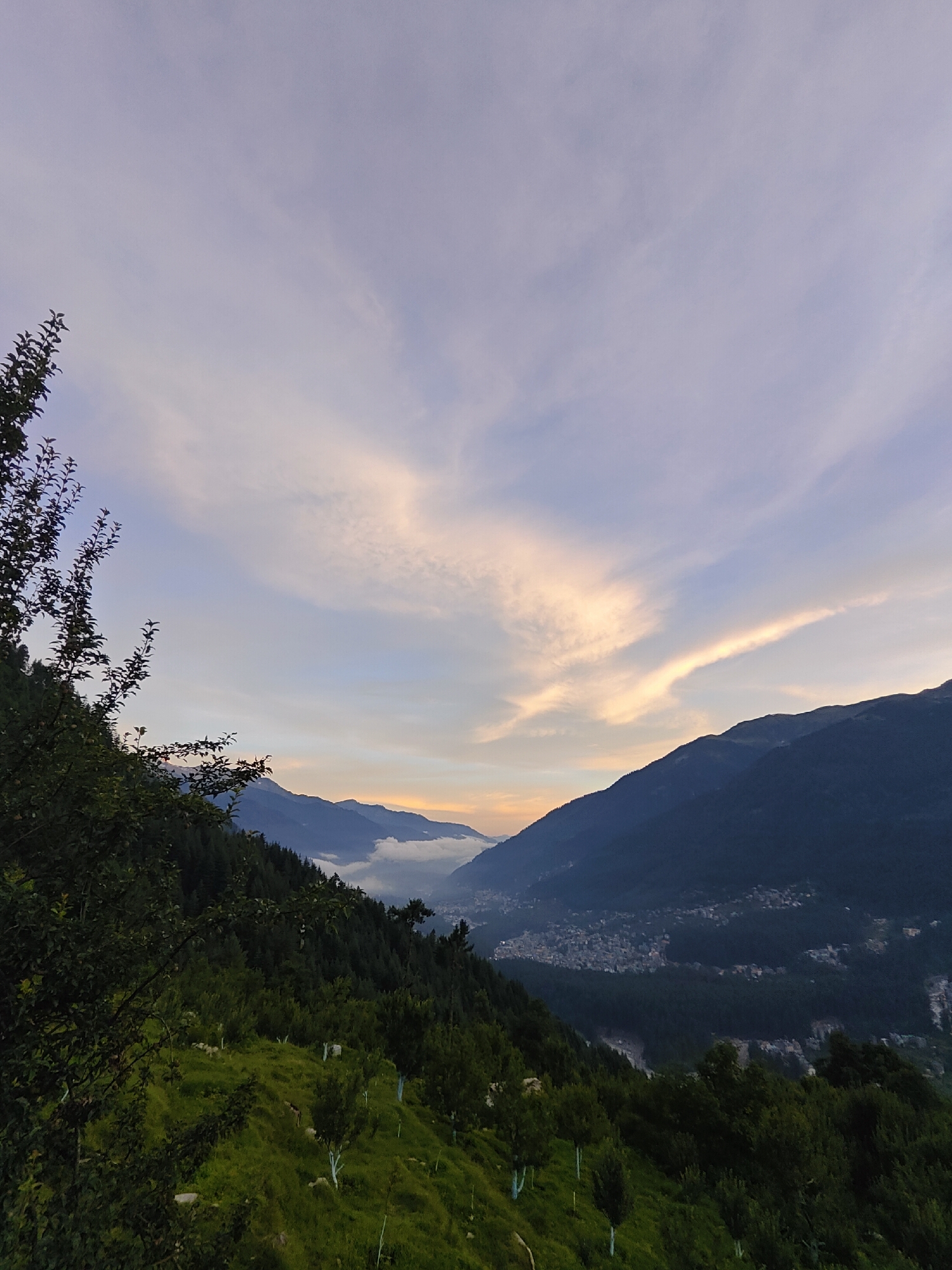 A picturesque landscape depicts the valley of Vashisht, India, as the sun begins to set. The sky is a canvas of soft blues and purples, with wisps of orange and pink clouds streaking across the horizon. In the foreground, lush green trees and foliage dominate the hillside, with some trees showing white-painted trunks, a common practice in orchards. The middle ground reveals a dense forest that slopes down into the valley, where a town is nestled amongst the hills. Buildings are visible, clustered together, indicating a populated area. In the distance, majestic, dark blue mountains rise, their peaks softened by the fading light and a layer of mist or low-lying clouds that obscure the valley floor in places. The overall scene conveys a sense of tranquility and natural beauty, typical of the Himalayan foothills. No people or animals are discernible in the image.