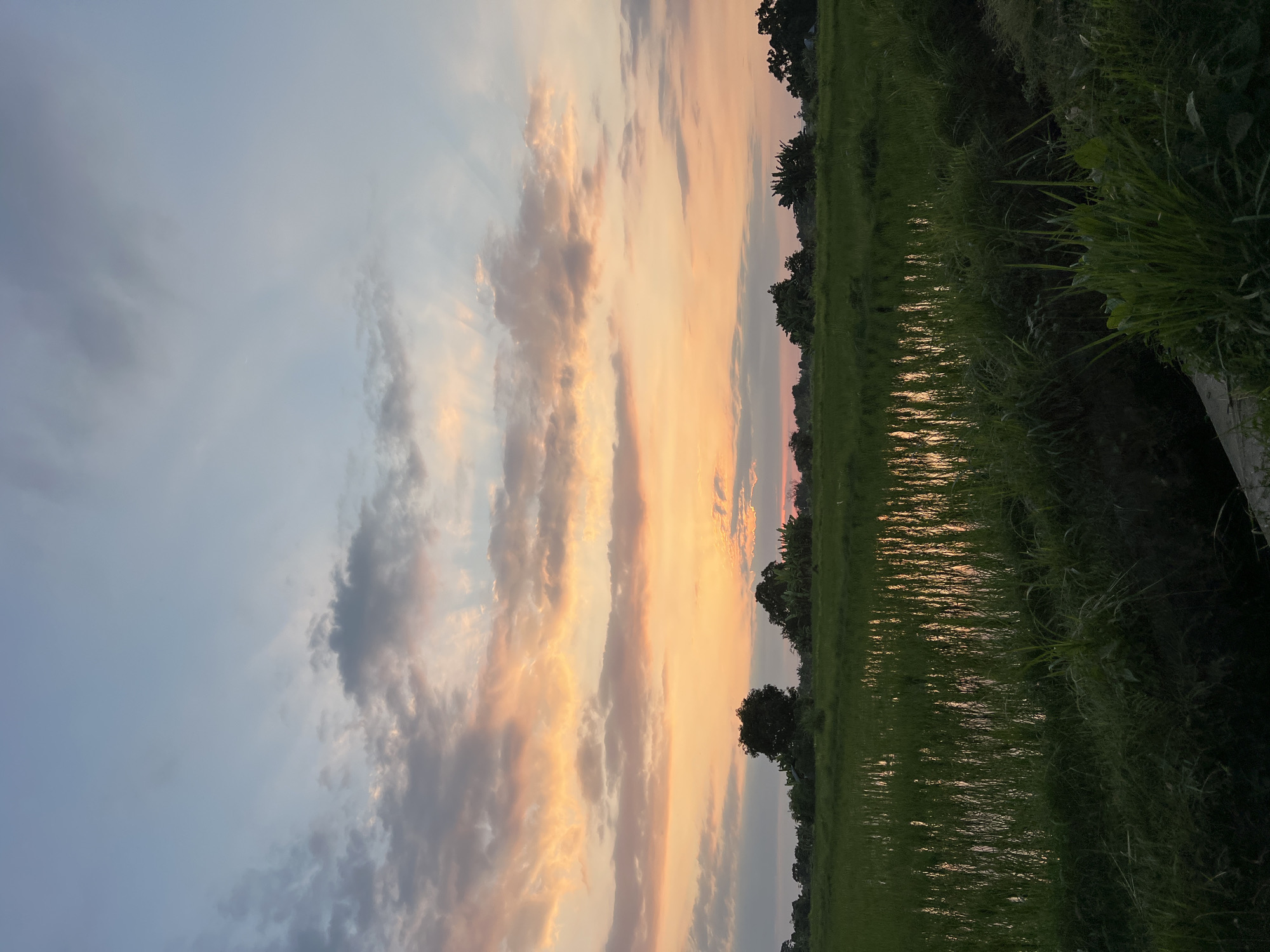The image depicts a serene sunset over a rice paddy in Sawan, Indonesia. The sky is a canvas of soft blues, oranges, and pinks, with scattered clouds catching the last rays of sunlight. The vibrant green of the rice stalks contrasts with the warm hues of the sky, and their reflections shimmer on the waterlogged field. In the distance, a line of trees marks the horizon, with a few scattered structures barely visible amongst them. The foreground is dominated by lush, dense grass, suggesting the wilder edges of the cultivated land. The scene is peaceful and devoid of any human presence, capturing a moment of natural beauty at dusk.