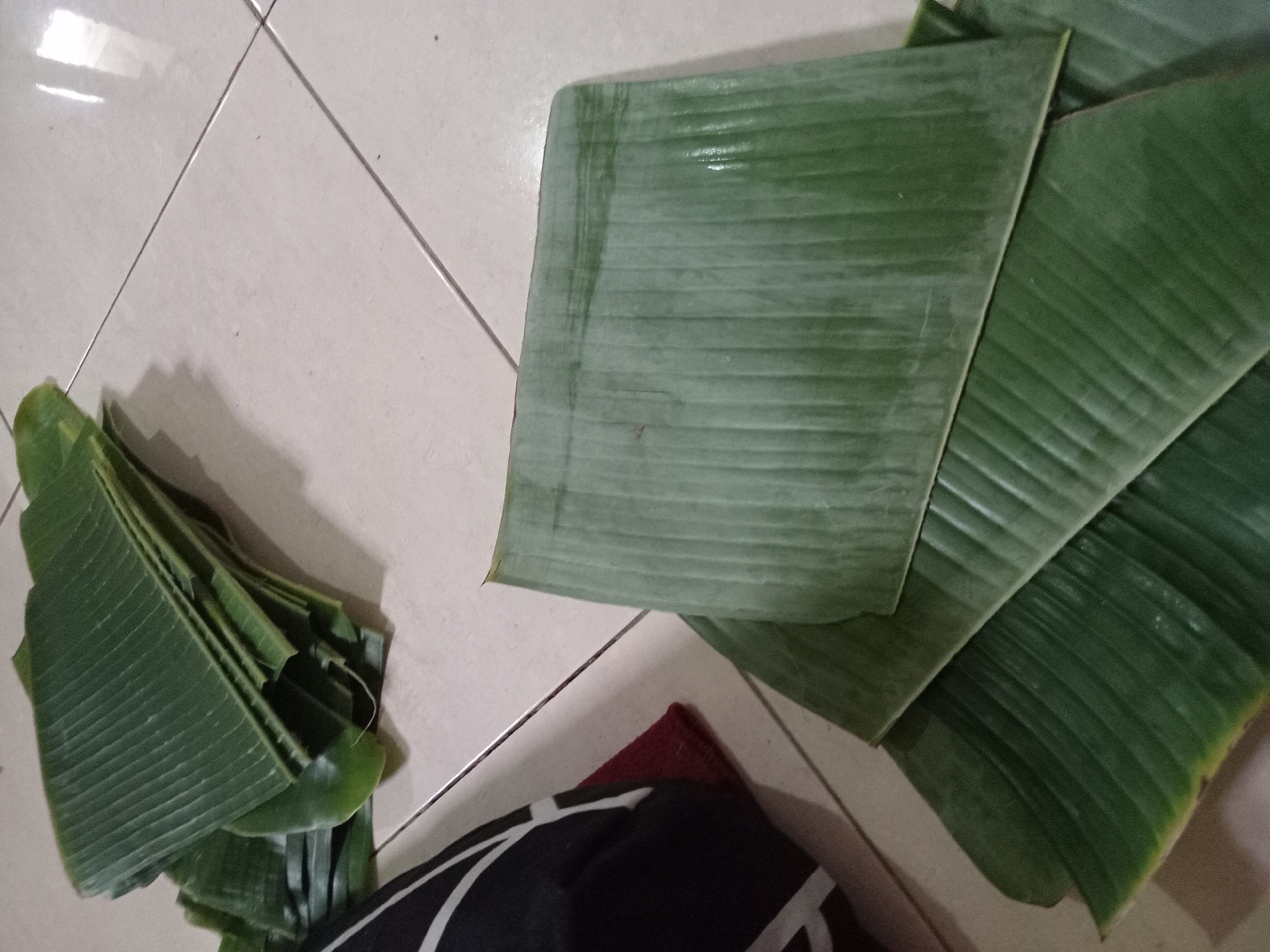 This image displays a pile of large, green banana leaves arranged on a tiled floor. The leaves are a vibrant green color with prominent parallel veins. Some leaves are stacked neatly, while others are laid out flat, suggesting they may have been prepared for a specific purpose, possibly for cooking or wrapping food. In the background, a portion of a black and white striped pillow is visible, adding a domestic element to the scene. The floor is tiled with light-colored square tiles, with visible grout lines. The lighting in the image is dim, with some reflections on the tiled surface, indicating an indoor setting. While the specific location is identified as Claket, Indonesia, this detail cannot be visually confirmed from the image content itself.