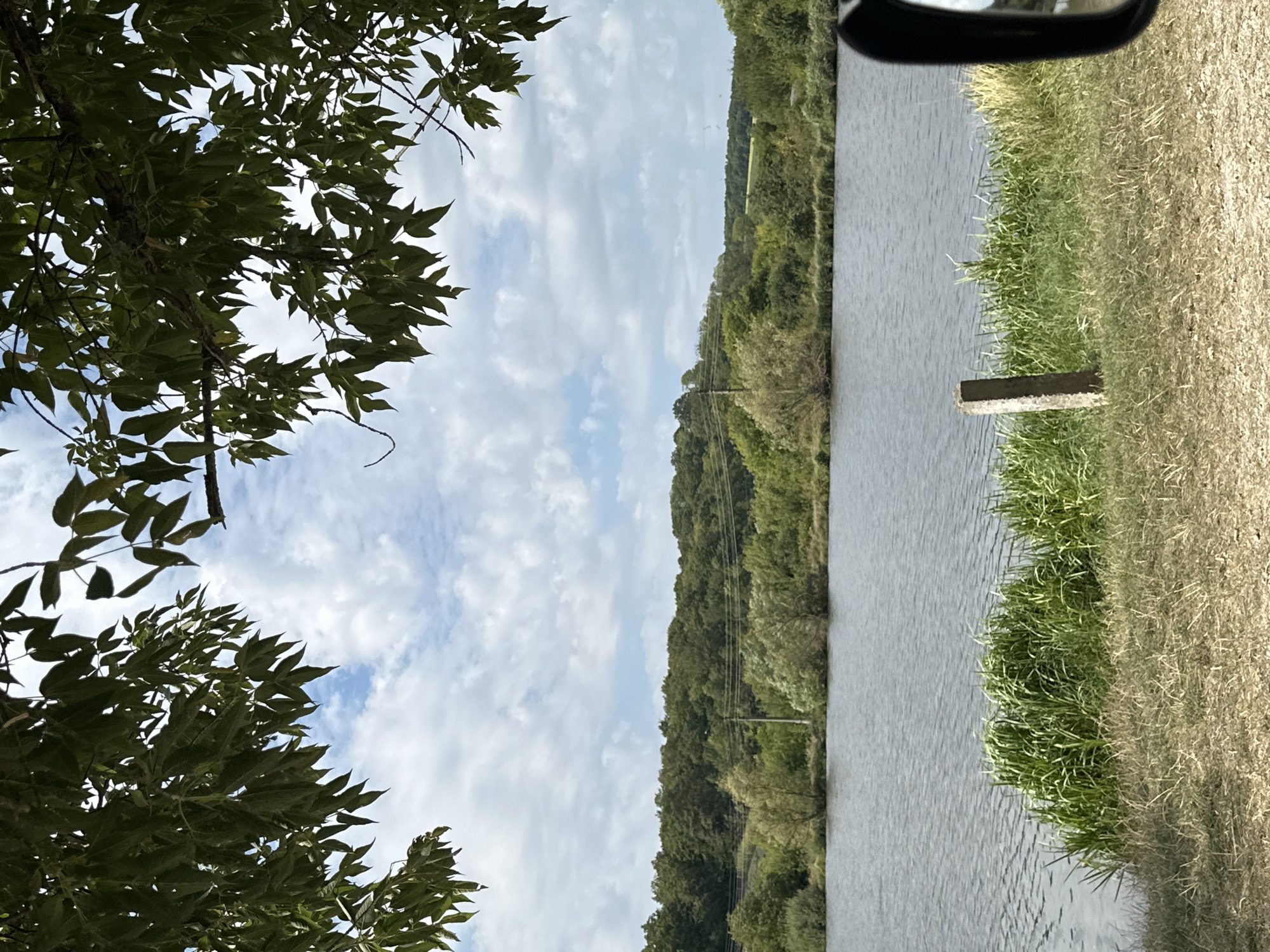 This is a medium shot, eye-level, outdoor photograph of a body of water in Makiv, Ukraine. The sky is partly cloudy with a soft, diffused light. In the foreground, dry grass and some reeds line the shore of a calm, gray body of water. A single, weathered concrete post stands upright near the water's edge. The middle ground features a dense line of green trees and bushes, with some taller trees on the far bank of the water. In the far distance, a rolling landscape of green hills is visible under the sky. The top of the image is framed by the dark green leaves and branches of a tree. The scene appears to be a natural landscape with signs of human presence, such as the concrete post and a utility pole visible among the trees. The photograph captures a serene, natural environment.