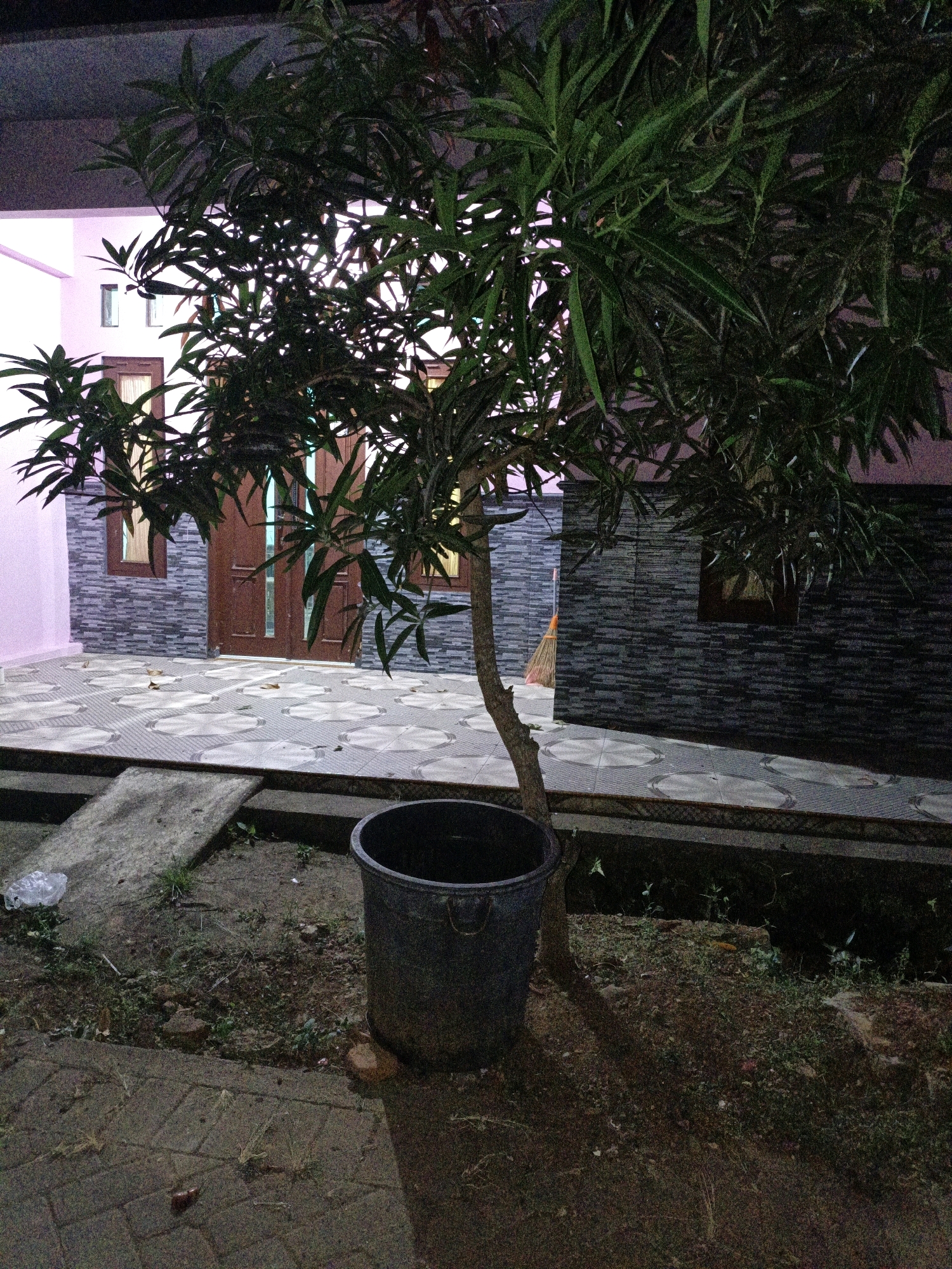 The image depicts an outdoor scene at night, possibly in the city of Cikal, Indonesia. A small tree with green leaves stands in the foreground, casting a shadow on the ground. To the right of the tree is a large, dark-colored bucket. Behind the tree, there is a paved walkway with a patterned tile design. Further back, a house is visible, featuring a pink wall, brown doors, and windows. The house's facade is decorated with a dark, textured stone veneer. A broom with an orange handle leans against the wall near the house. The ground is a mix of dirt, sparse vegetation, and paving stones. The lighting suggests artificial illumination from the house and possibly streetlights, creating a dimly lit atmosphere.