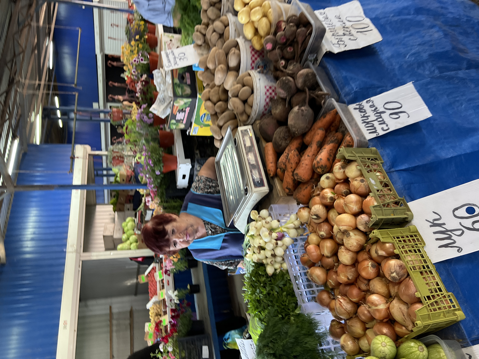 An indoor market stall, identified as being in Krasnodar, Russia, is depicted. A middle-aged woman with short, reddish-brown hair, wearing a blue and light blue vest over a patterned shirt, stands behind a counter. She faces slightly to her left, with her hands resting on the counter.
The counter, draped with a blue tarp, displays a variety of fresh produce. In the immediate foreground, green plastic crates are filled with brown onions, accompanied by a handwritten sign in Cyrillic stating "лук 60" (onion 60). Adjacent to the onions are clear plastic containers holding orange carrots, labeled "морковь сладкая 90" (sweet carrots 90), and dark red beets, labeled "Борщевая свекла 100" (borscht beet 100). To the left, bundles of fresh green herbs, identified as dill and parsley, are presented in white crates alongside a bunch of white and green scallions. Round green squash or zucchini are visible in a container on the far left.
Further back on the stall, several white buckets contain piles of potatoes, including light brown and yellowish varieties. One bucket displays a handwritten sign with the number "30", while another sign shows "90" near some potatoes. A silver digital weighing scale is positioned on the counter directly in front of the woman.
The background features bright blue corrugated metal walls and an exposed metal roof structure with visible fluorescent strip lighting. Other market stalls are discernible, displaying potted flowering plants in red, purple, yellow, and orange pots on shelves. Additional produce, including large green items (possibly watermelons or gourds) and red berries (possibly strawberries), are visible on more distant stalls. The upper right portion of the frame shows the right shoulder and arm of another individual, clad in a light blue shirt.