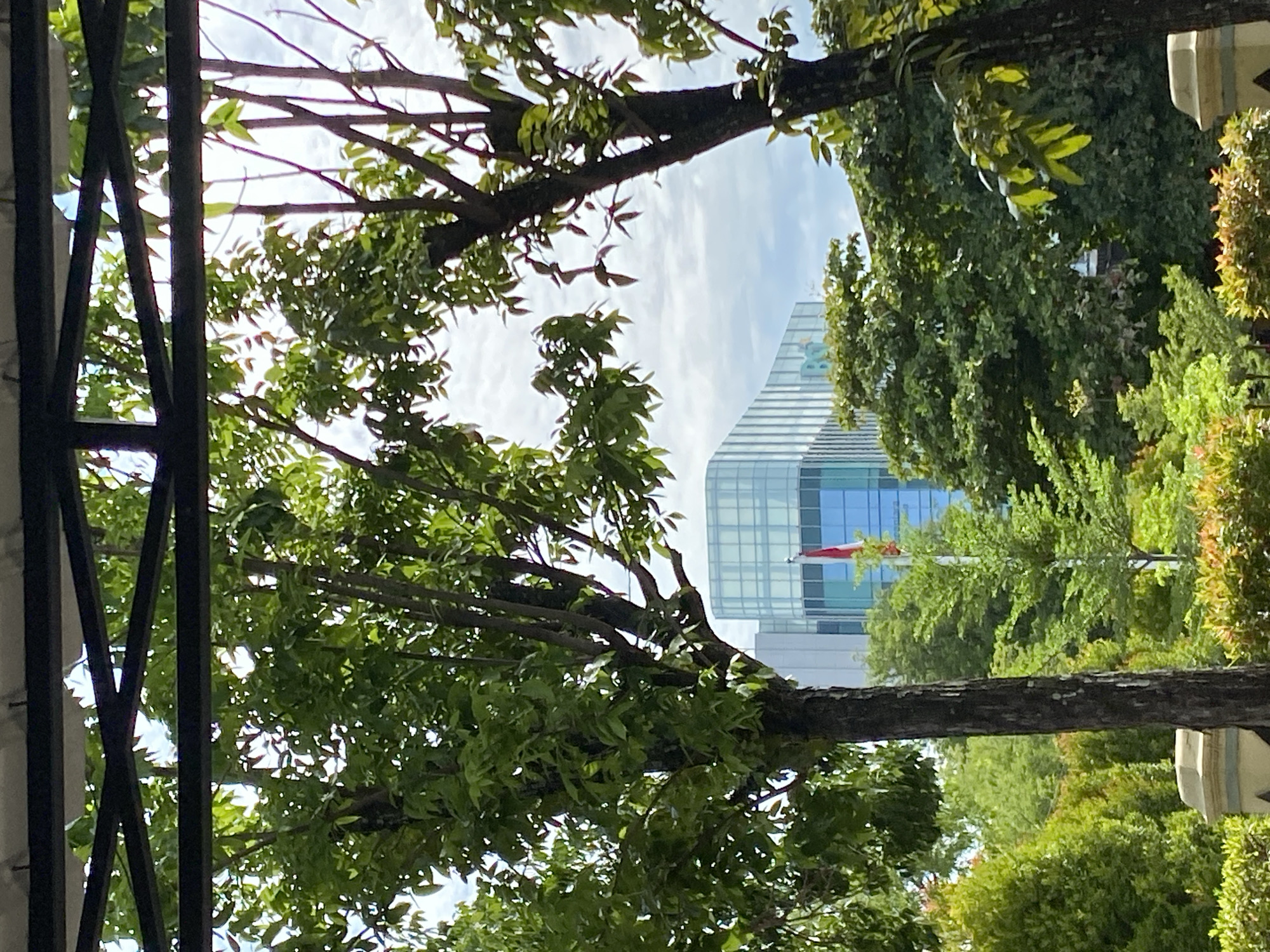 Framed by the dark, angular metal structure of a covered walkway, the image depicts a lush, green environment with a modern building in the background. Two large trees with dense green foliage dominate the foreground, their branches reaching towards the sky and partially obscuring the view. The tree on the left is closer to the viewer and its trunk is thick and textured. The tree on the right is slightly further away and its branches are more sparse.
Behind the trees, a modern building with a glass facade is visible. The building is light blue and white, with vertical lines suggesting windows or structural elements. A red and white flag is flying on a pole in front of the building, indicating its likely location in Indonesia. In the middle ground, a variety of smaller trees and shrubs create a layered green landscape, with some having red-tinged new growth. The sky above is a light blue with scattered white clouds.
The scene appears to be an outdoor public space, possibly a park or a courtyard adjacent to the building. The overall impression is one of a well-maintained urban landscape that blends natural elements with contemporary architecture. Based on the presence of the Indonesian flag and the architectural style of the building, the location is likely in a developed area of Banda Aceh, Indonesia, possibly a government or corporate office. No people are visible in the image.