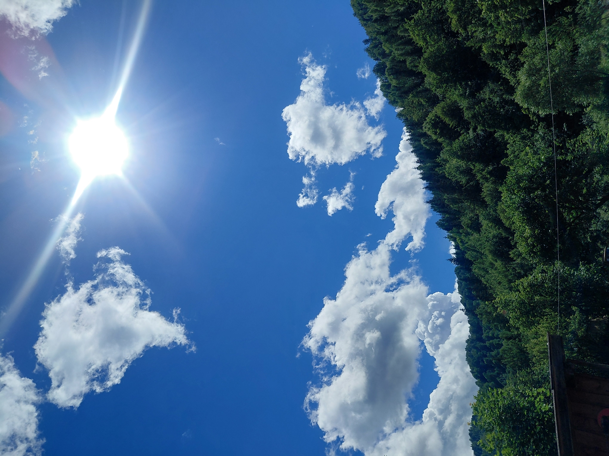 In Chernyk, Ukraine, the image captures a bright, sunny day with a clear blue sky filled with fluffy white clouds. The sun is prominently positioned in the upper right quadrant, emitting bright rays that create a lens flare effect. A dense, green forest covers the hillside in the lower right portion of the frame, with the trees appearing lush and healthy. The foreground includes a dark wooden structure, possibly part of a building or fence, with some visible wires running across the bottom. The scene is tranquil and evokes a sense of nature and clear weather.