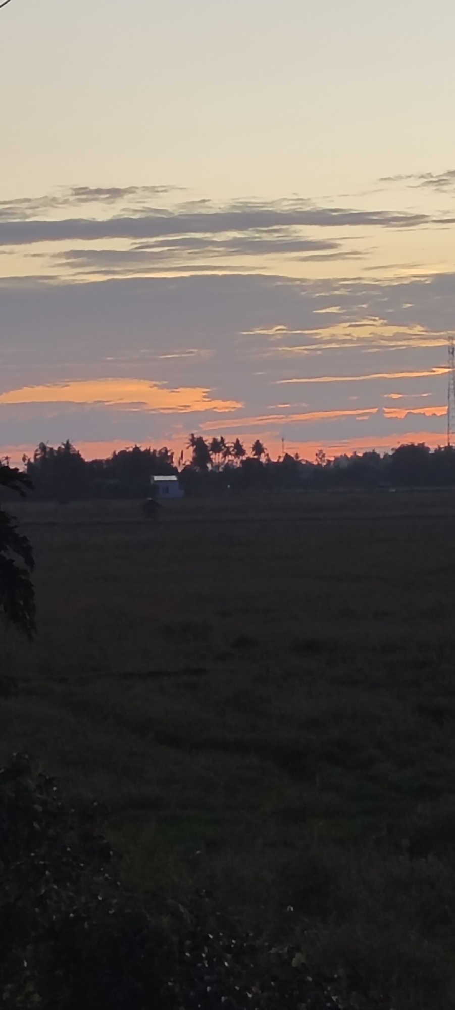 The image depicts a rural scene in Cotgapu, Indonesia, during dusk or dawn. A large, dark field dominates the foreground, likely a rice paddy based on the location. In the middle distance, a sparse tree line punctuated by palm trees and a lone building are silhouetted against a sky with orange and grey horizontal clouds. A radio tower is faintly visible on the right horizon. The overall atmosphere is one of stillness and fading light. There is no visible activity, people, or interactions.