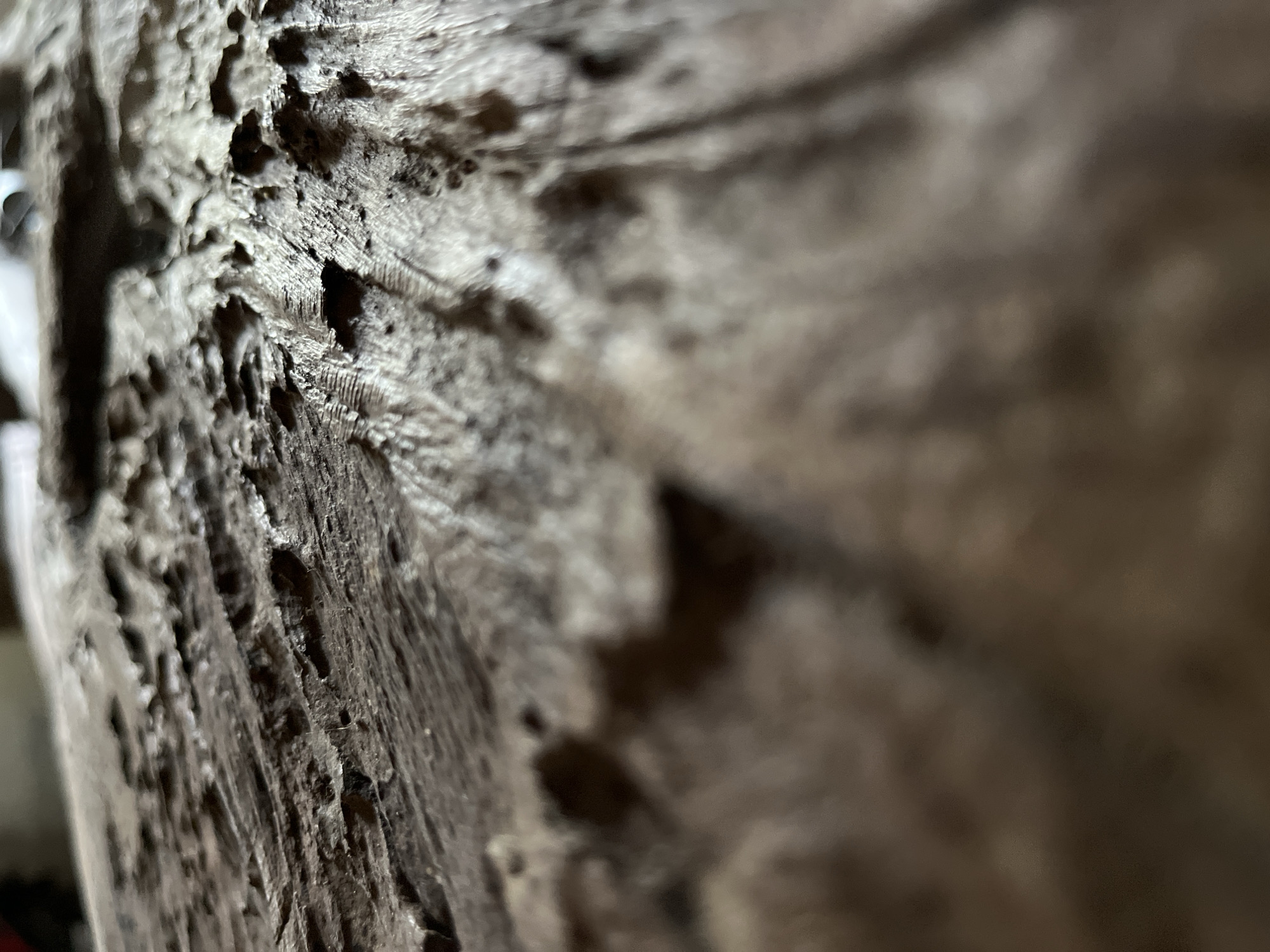 The image displays a close-up, low-angle view of the textured surface of what appears to be weathered wood. The texture is rough and uneven, with visible grain patterns, cracks, and indentations. The lighting creates shadows that accentuate the depth and contours of the surface. The background is out of focus and appears to be dimly lit. There are no people, animals, or discernible objects other than the wood itself. The location in Tambakreja, Indonesia, is not evident from the visual information provided.