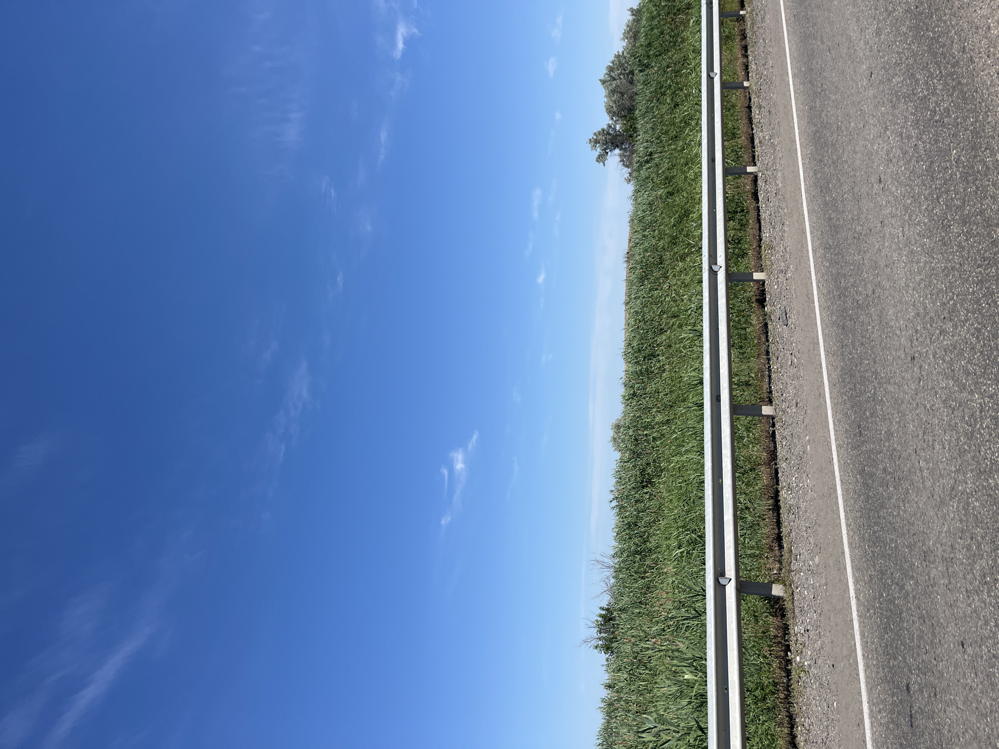The image depicts a roadside scene on a clear day. In the foreground, a paved road with a white line is visible, angled from the lower left towards the lower right. A metal guardrail runs horizontally across the middle of the frame, separating the road from a dense growth of tall green reeds or grass. The guardrail is supported by metal posts. Beyond the reeds, a clear blue sky with a few wispy white clouds fills the upper portion of the image. The vegetation suggests a rural or undeveloped area, possibly near a body of water given the type of plants. The scene is static and appears to be taken from a moving vehicle. The location is identified as Bakhtemir, Russia.